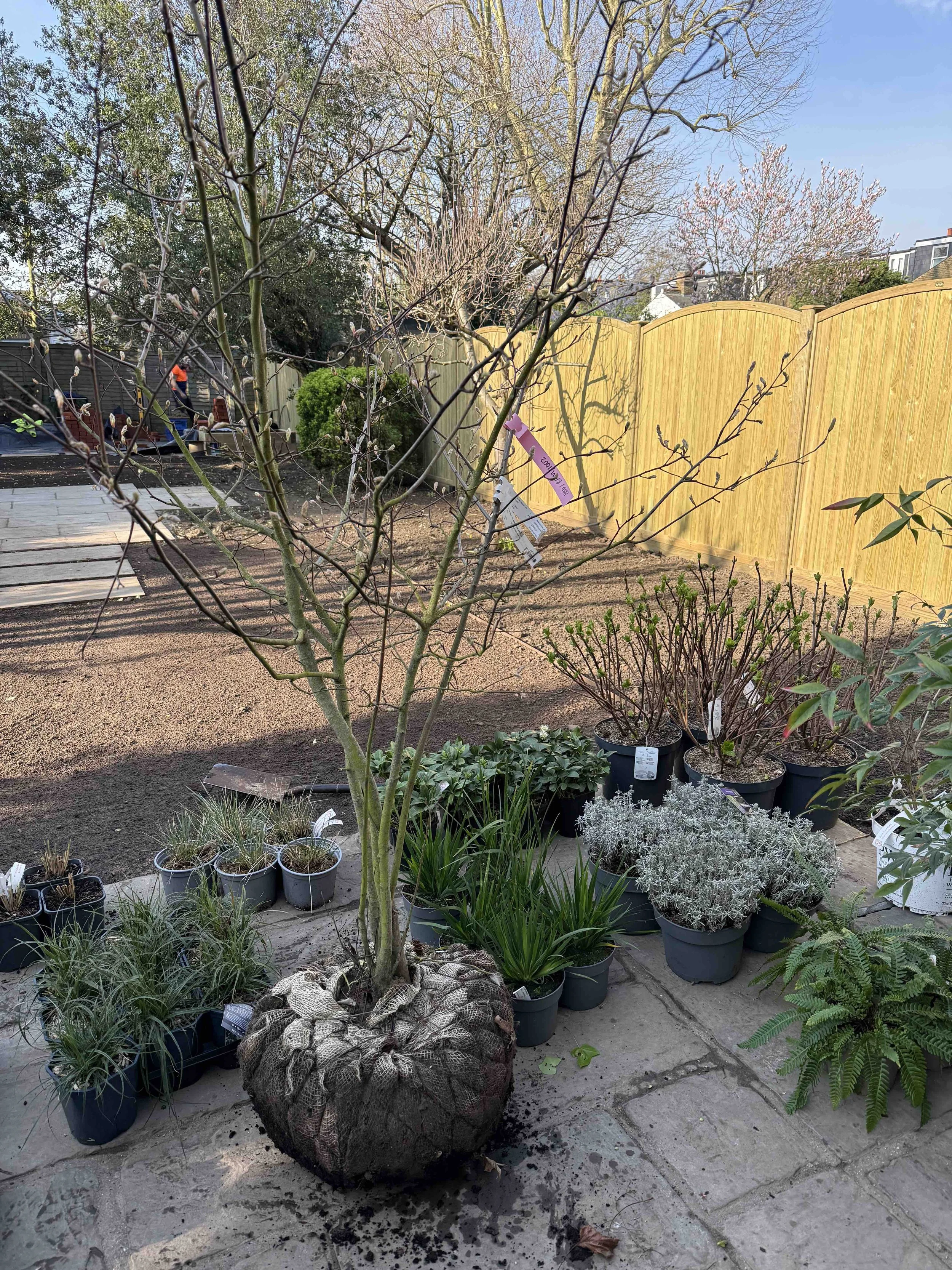 Planting day