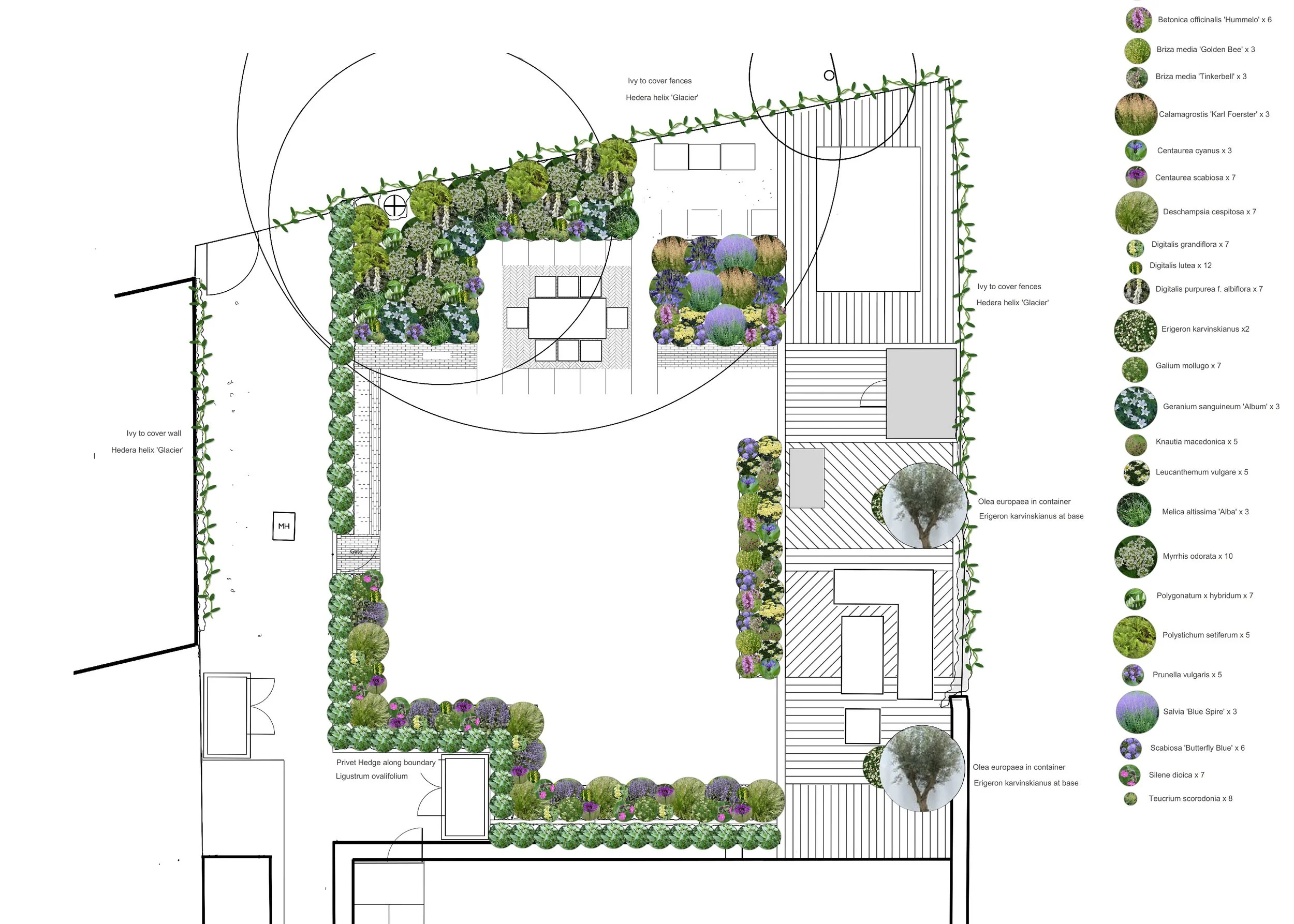 Planting plan