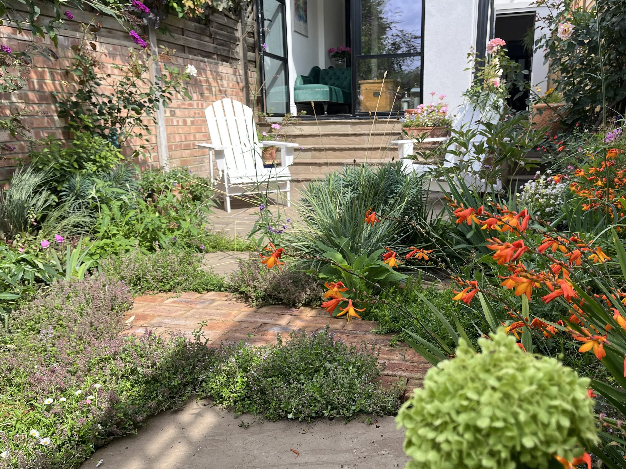Layers of plants