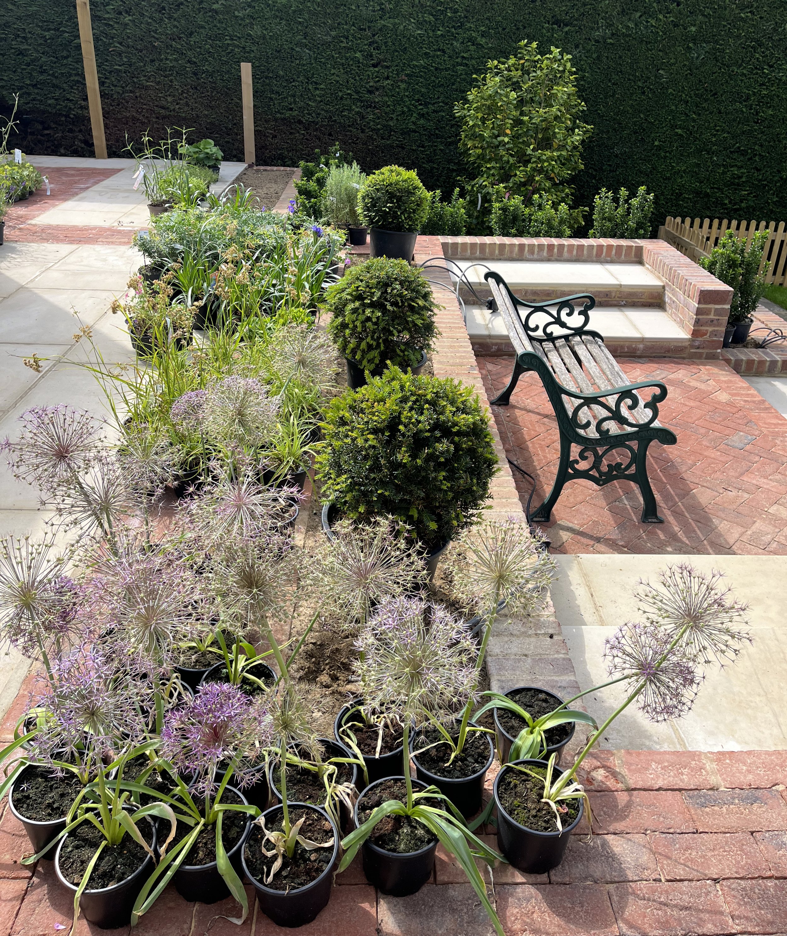 Plants on site