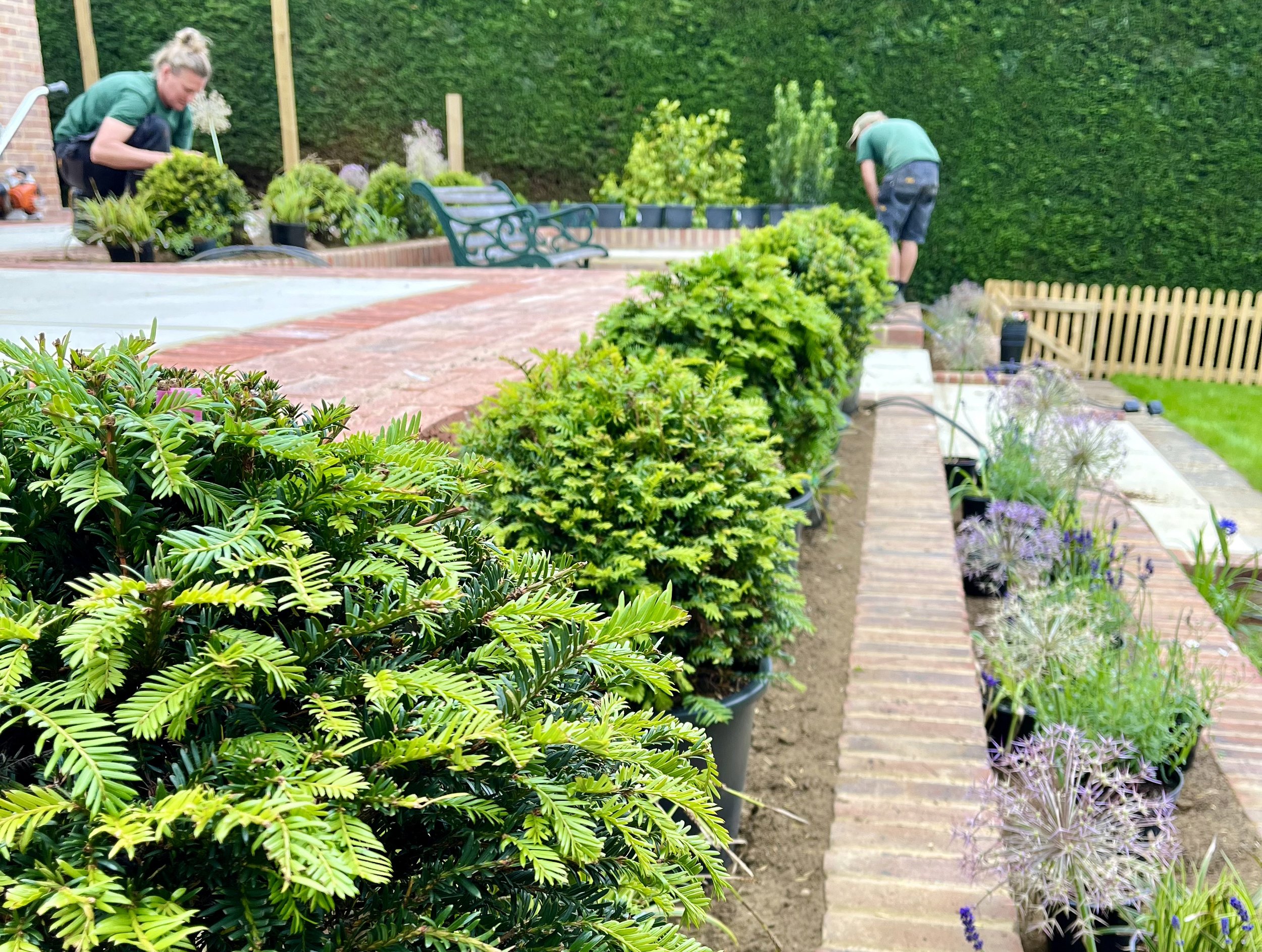 Planting