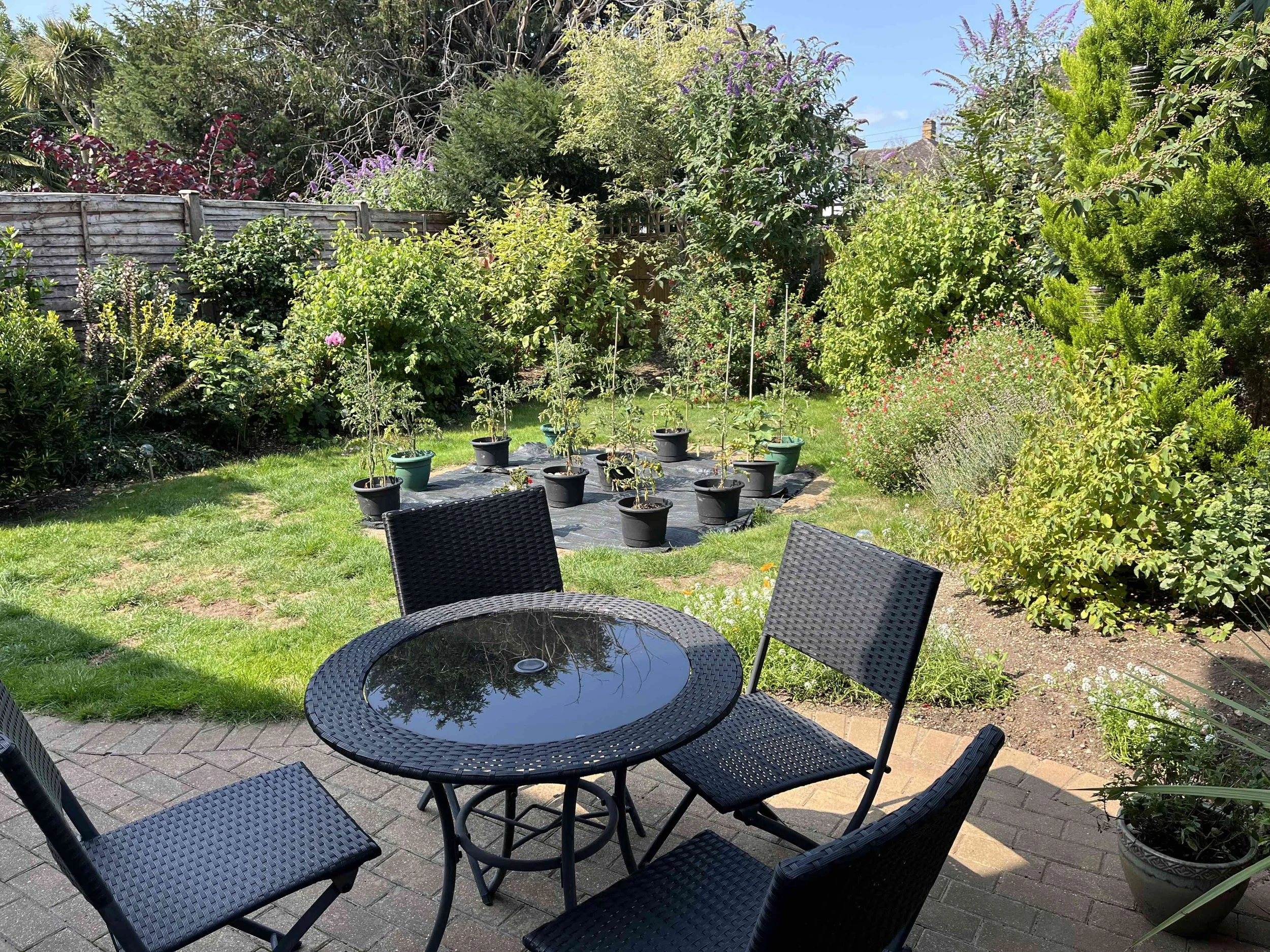 Garden as it is now