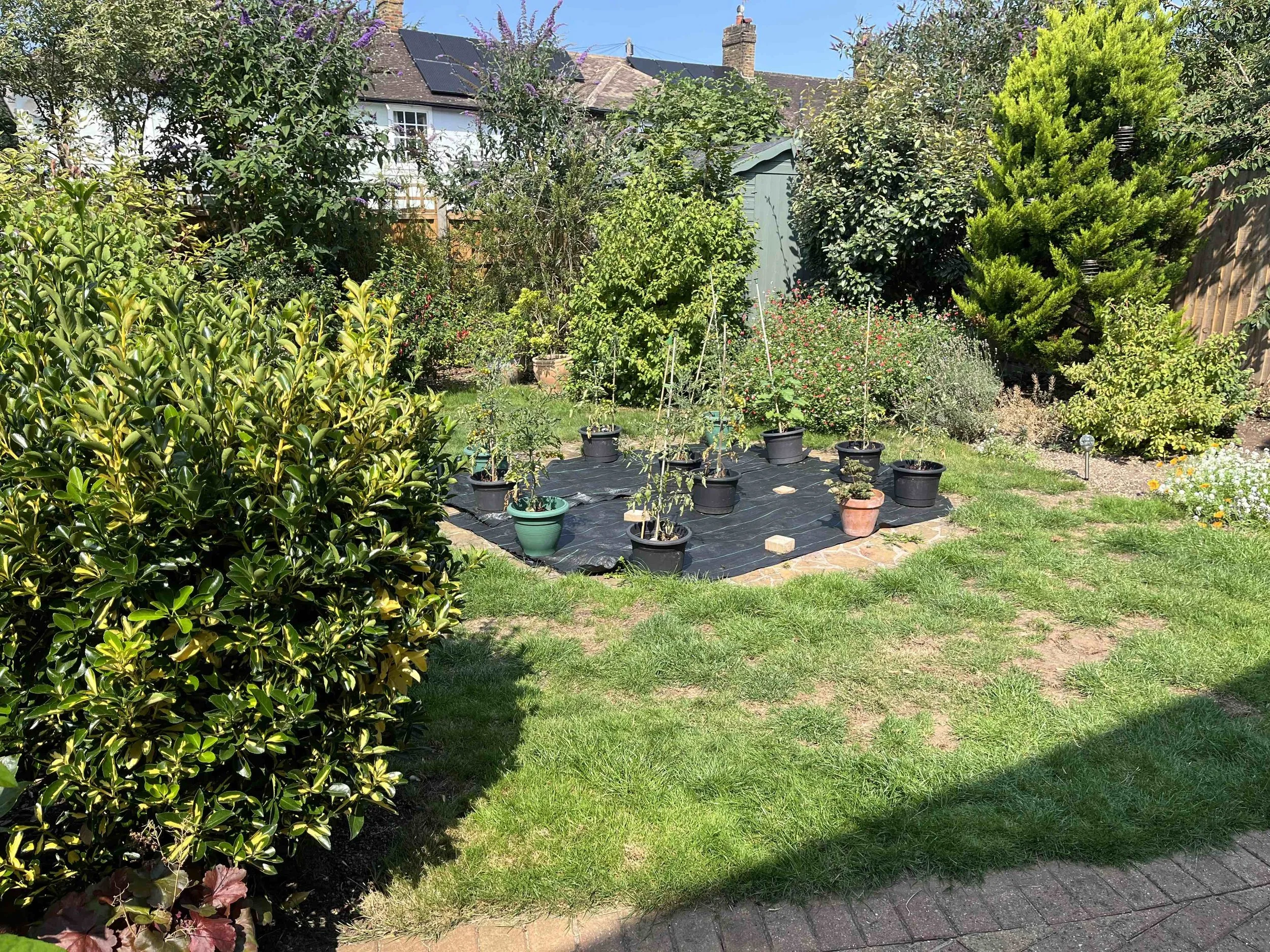 Garden as it is now