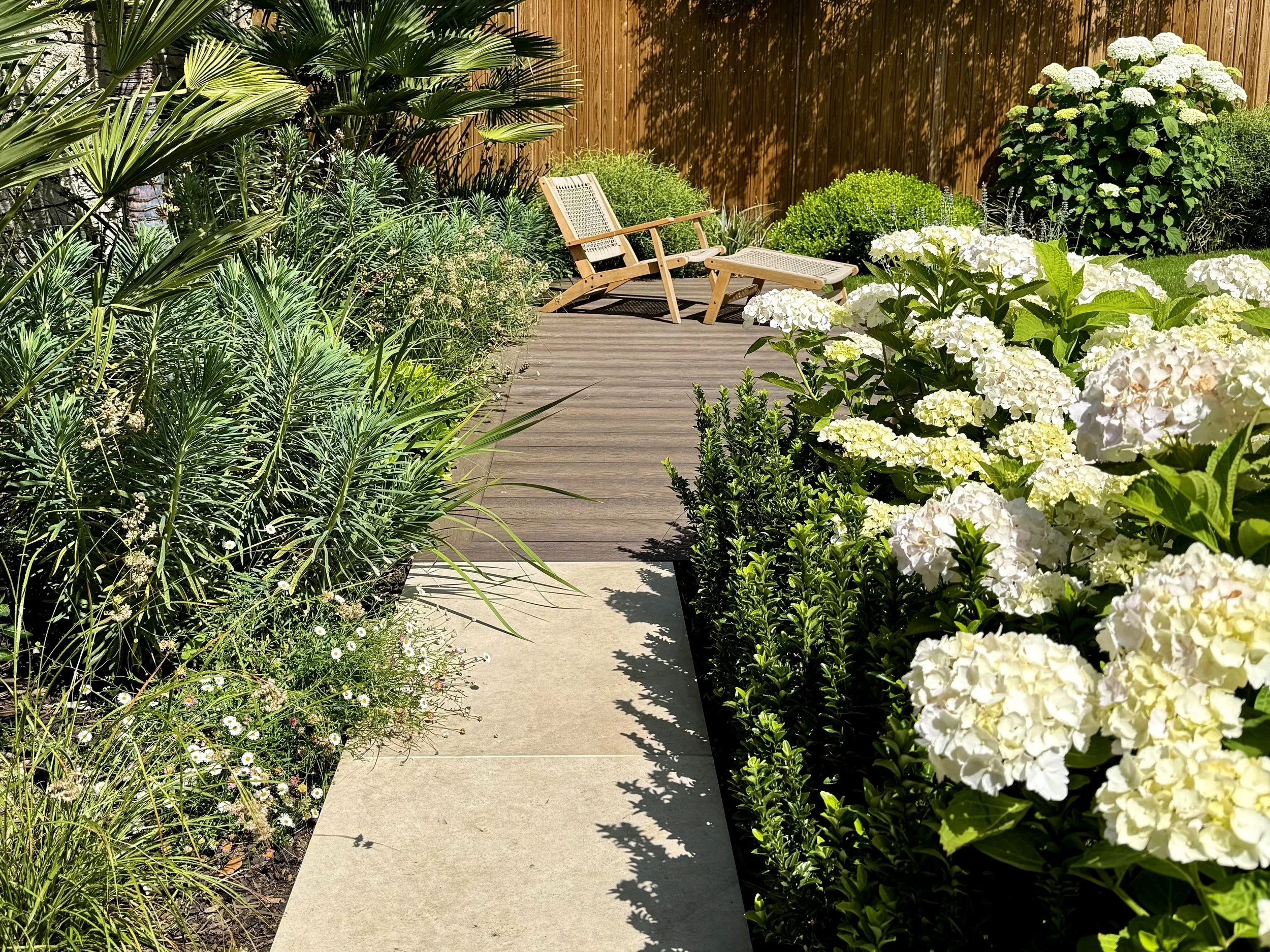A garden scene with a wooden deck, lush green plants, and white hydrangea flowers lining the pathway, with a wooden fence in the background.