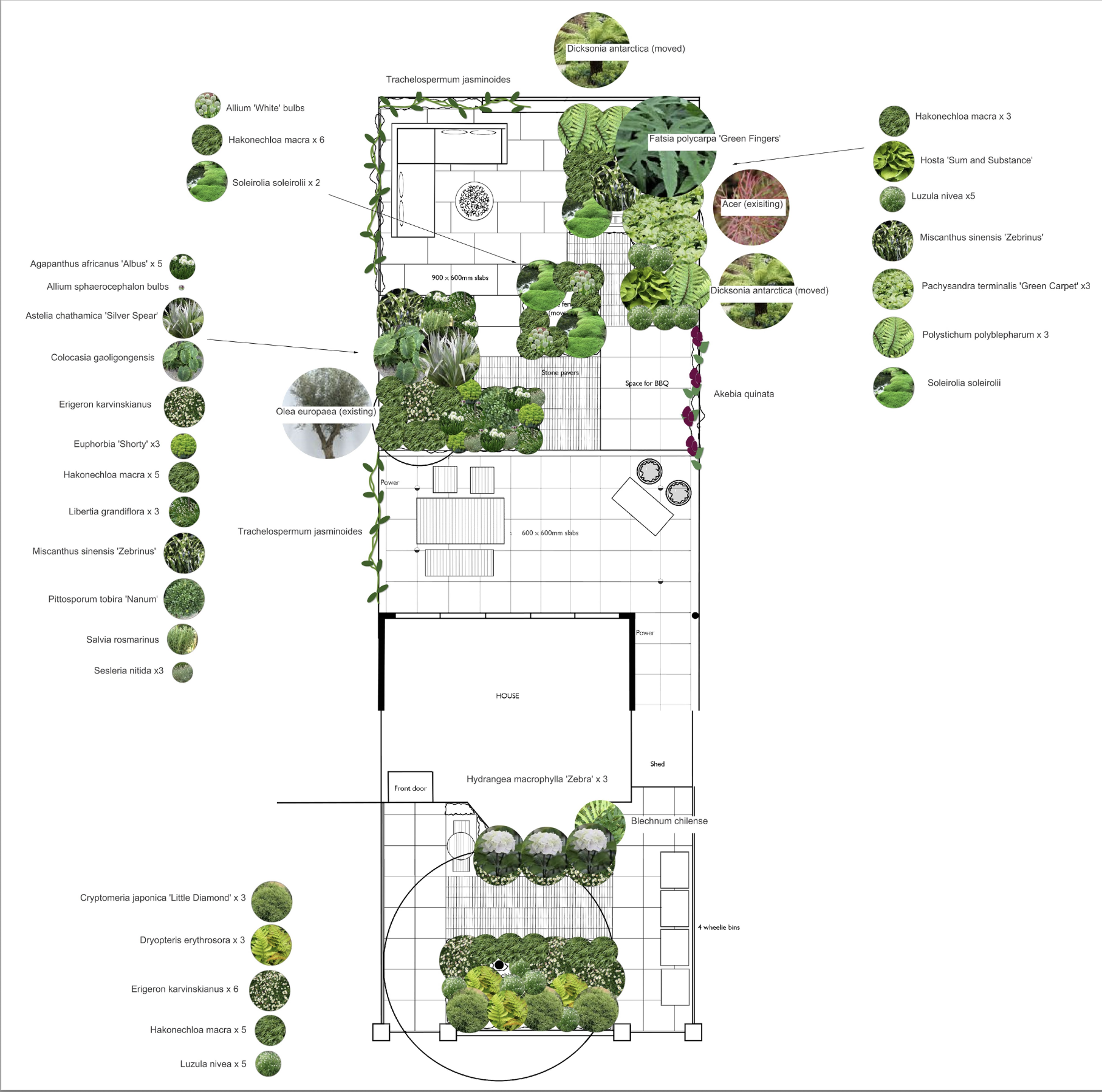 Planting plan