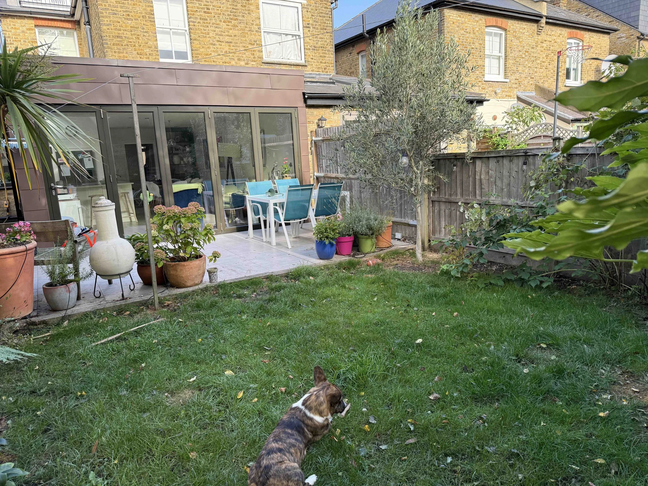 Garden as it is now