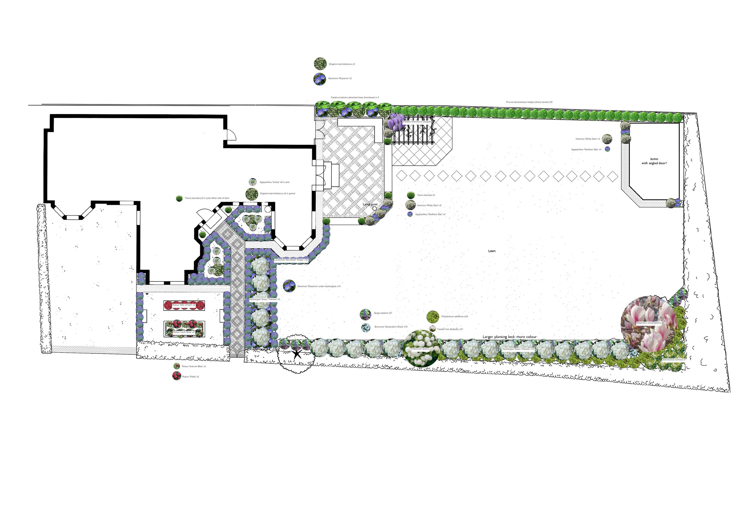 Planting plan