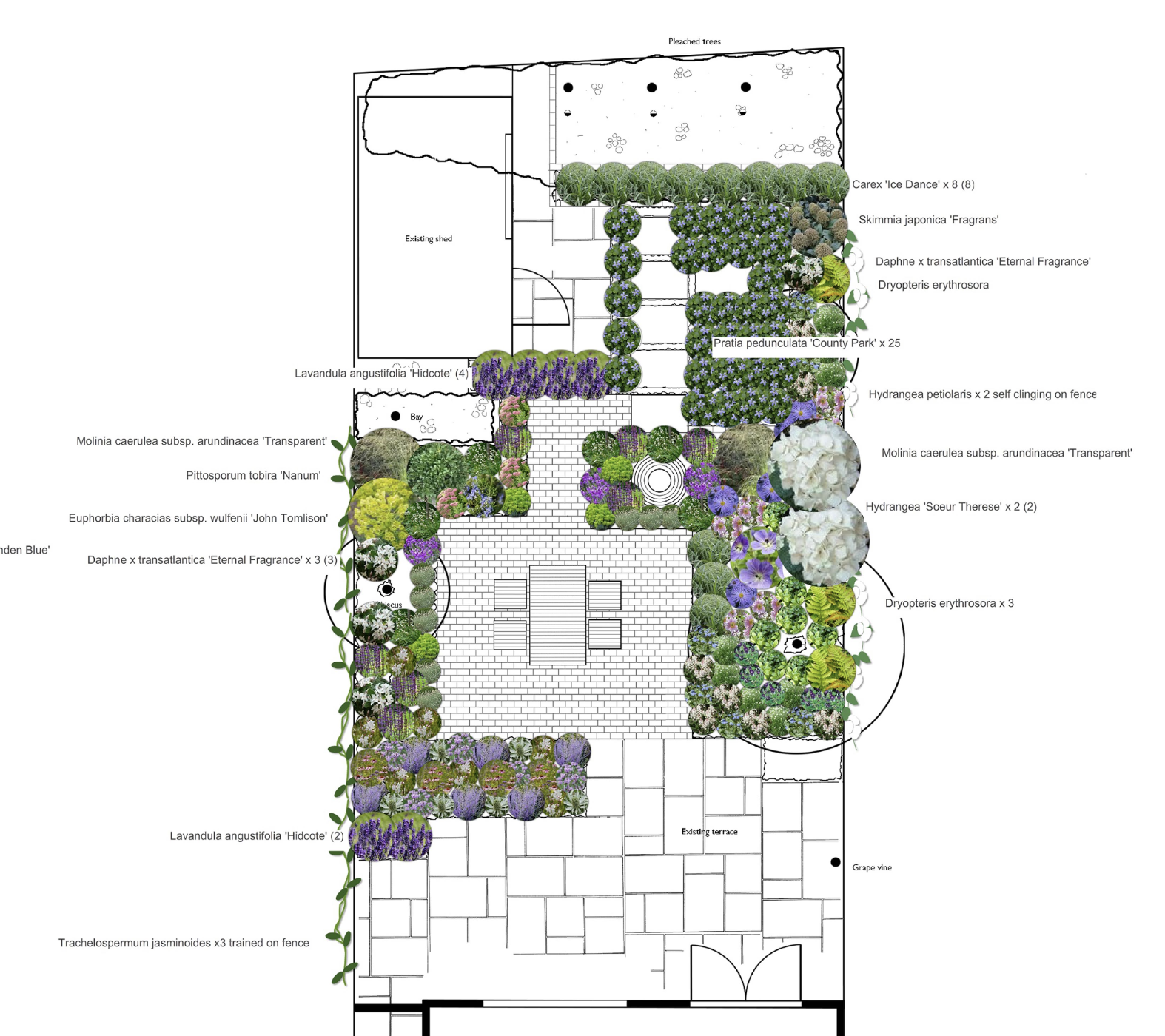 Planting plan