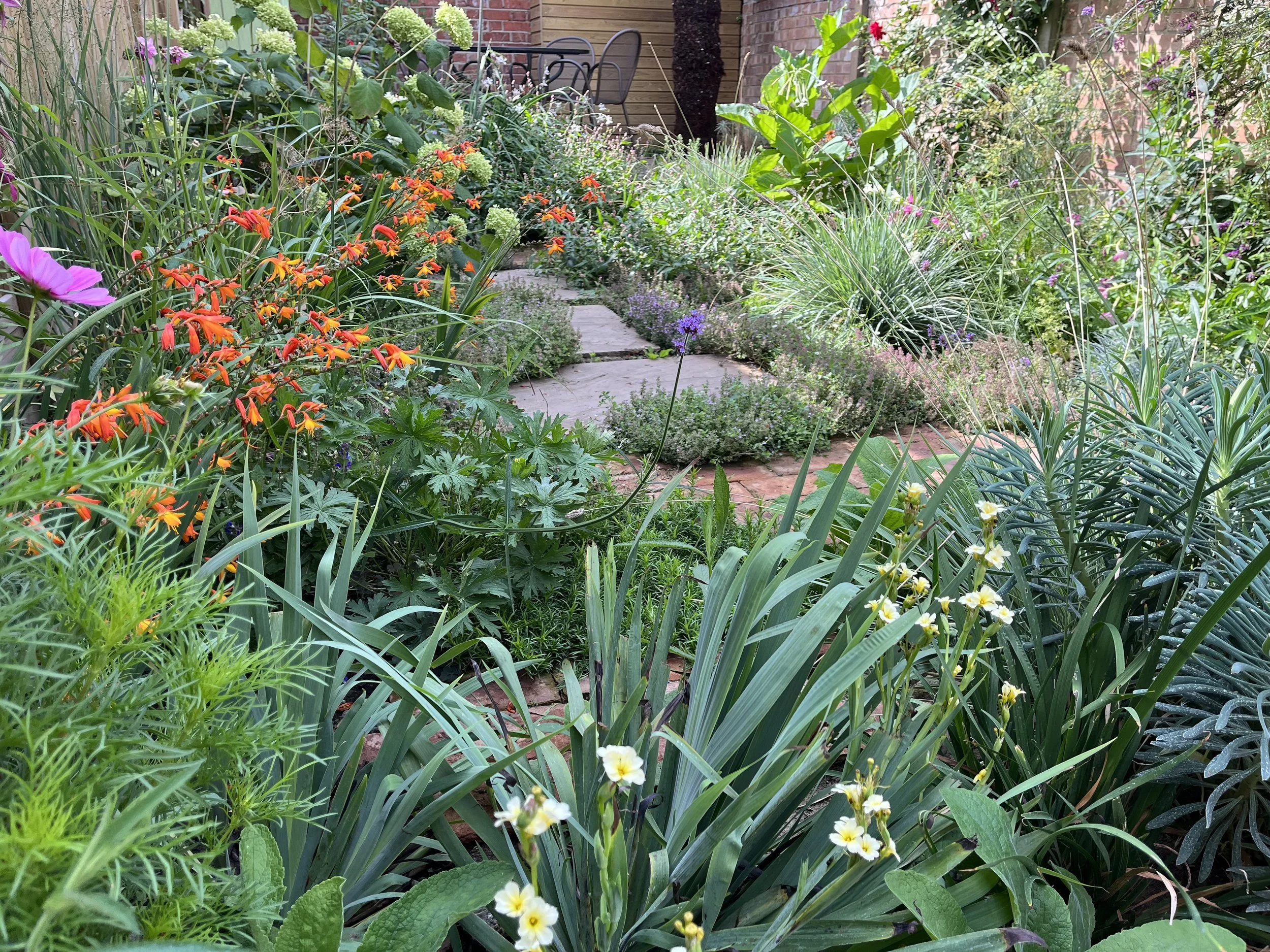 Layers of plants