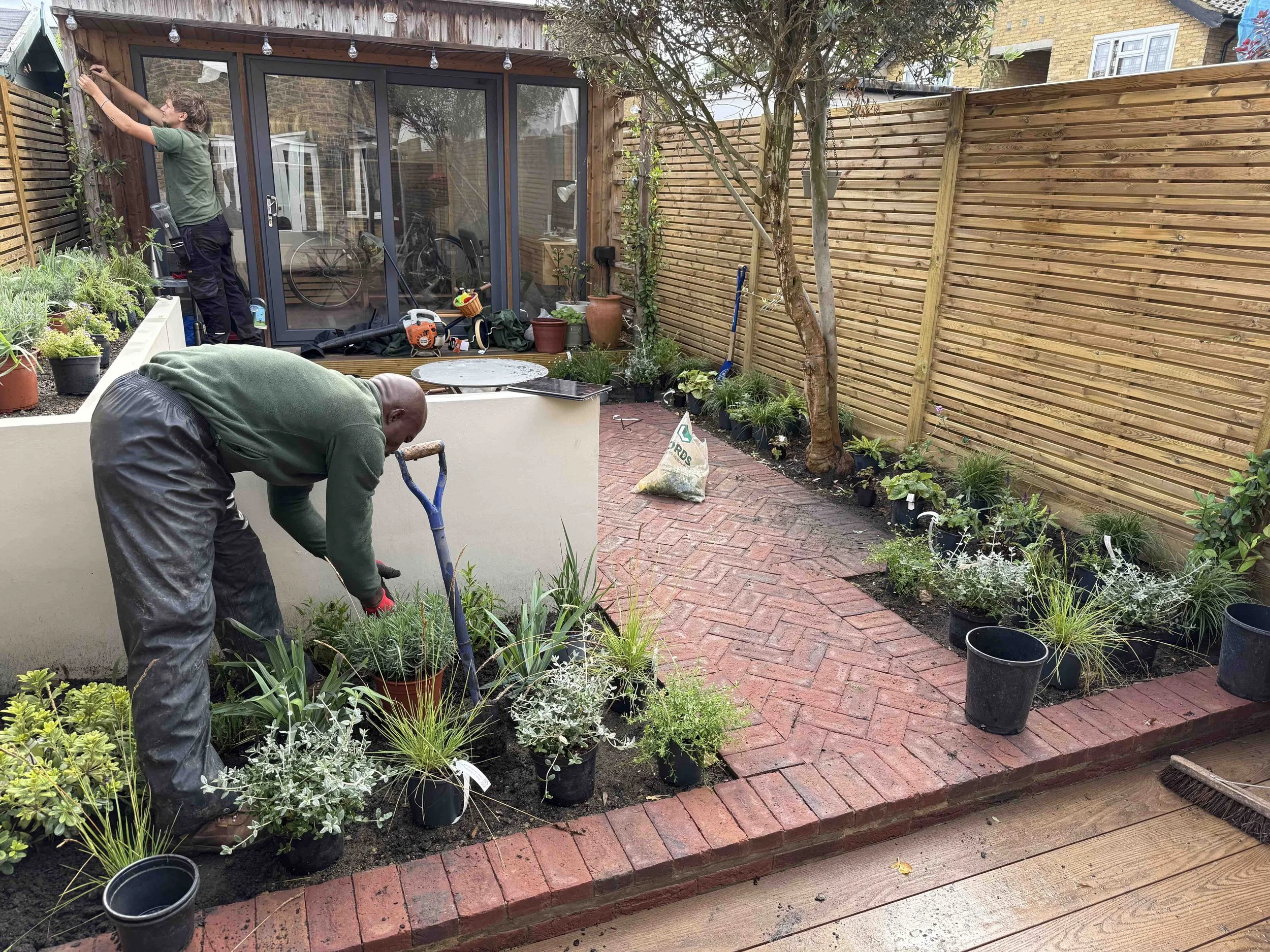 Planting