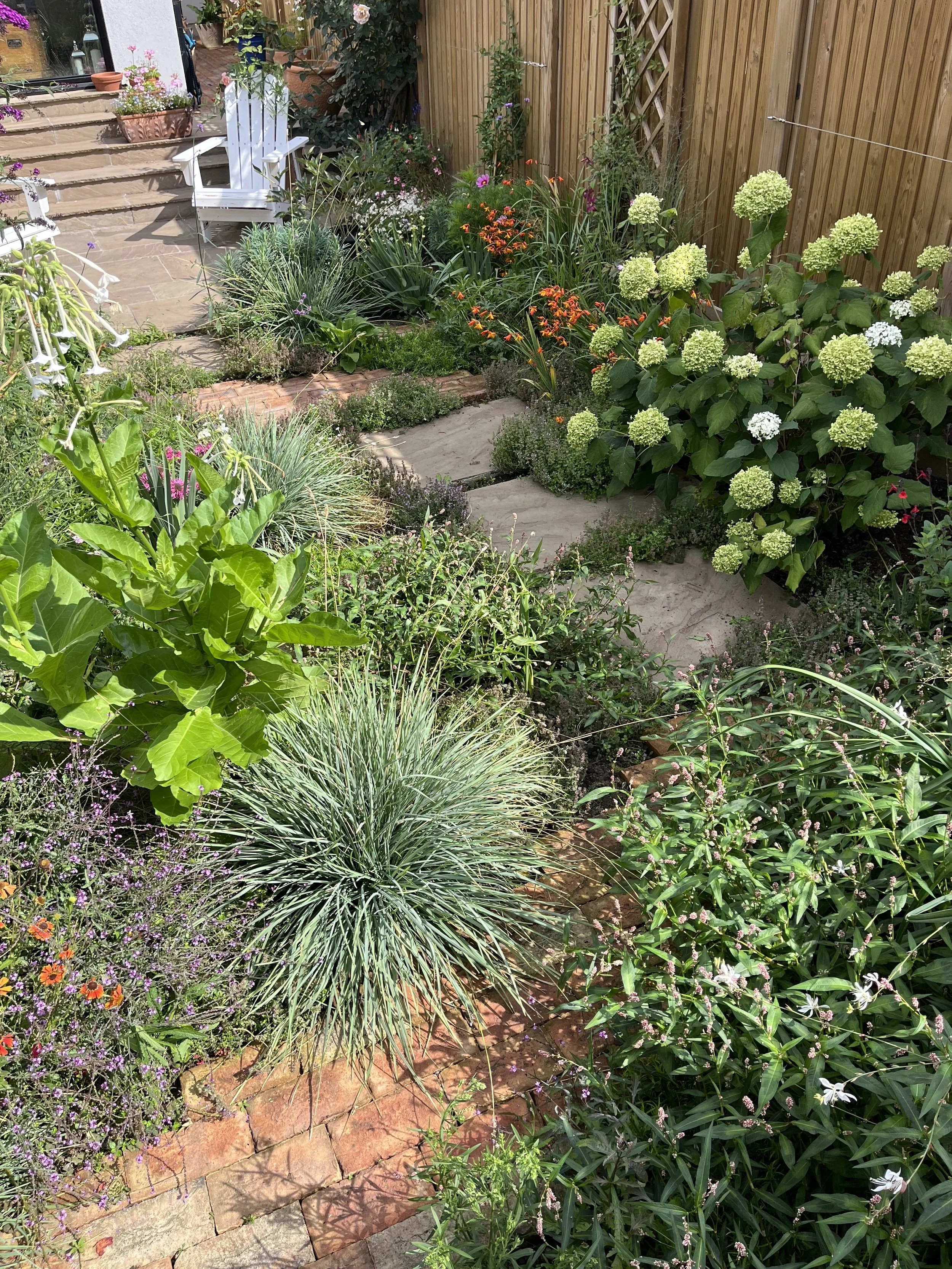 Paving textures amongst plants