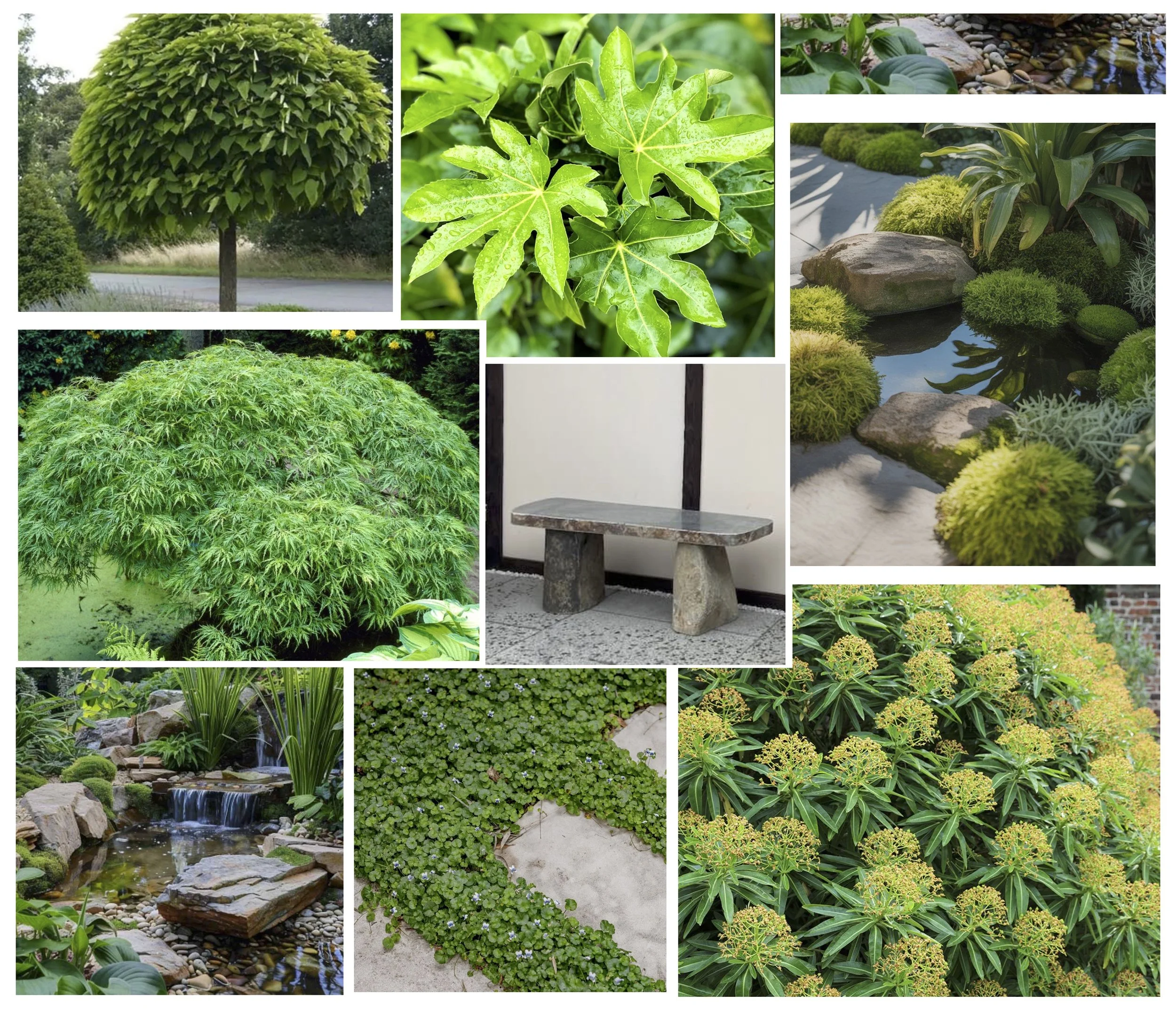 Mood board