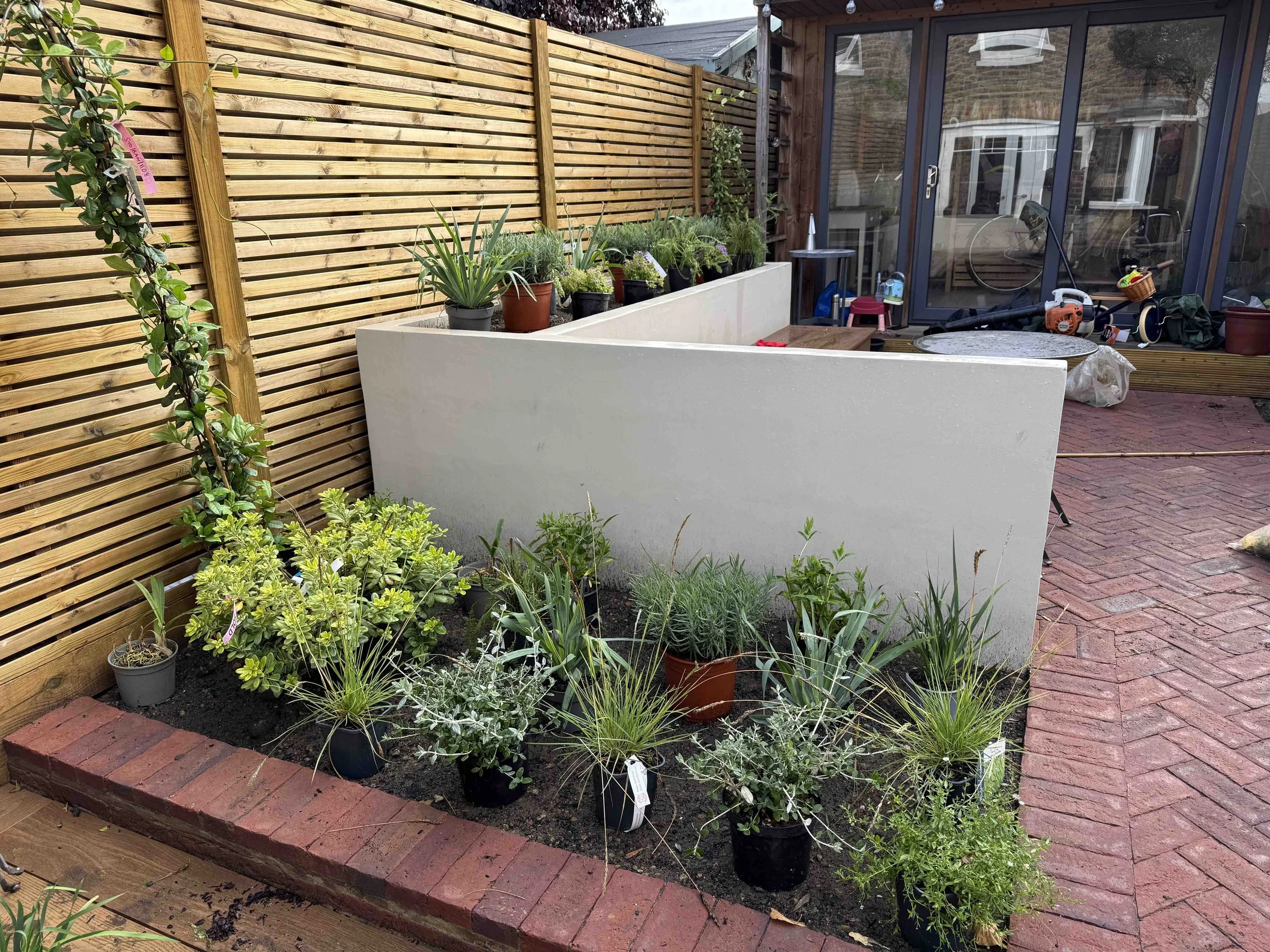 Plants going in