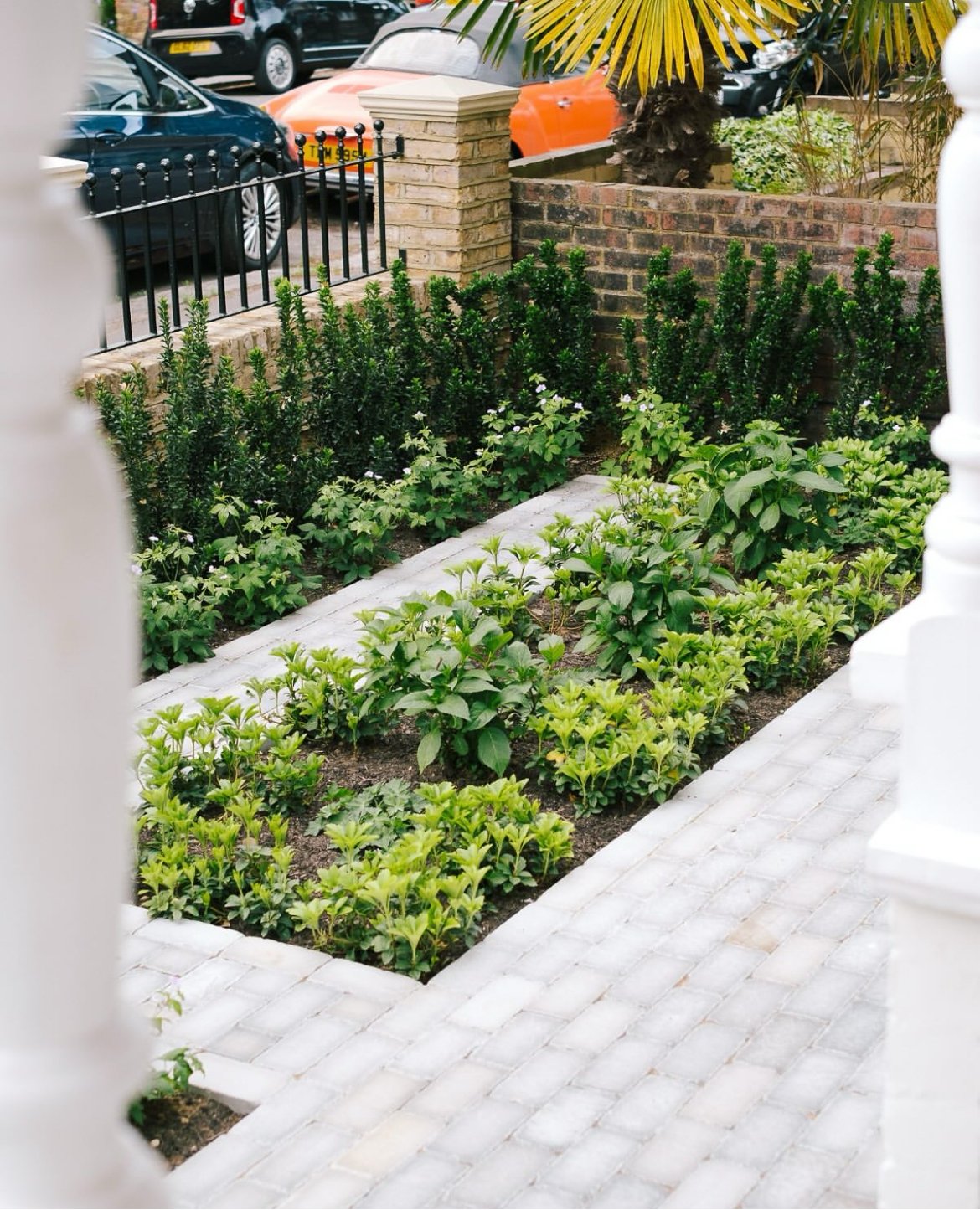 Paths and planting