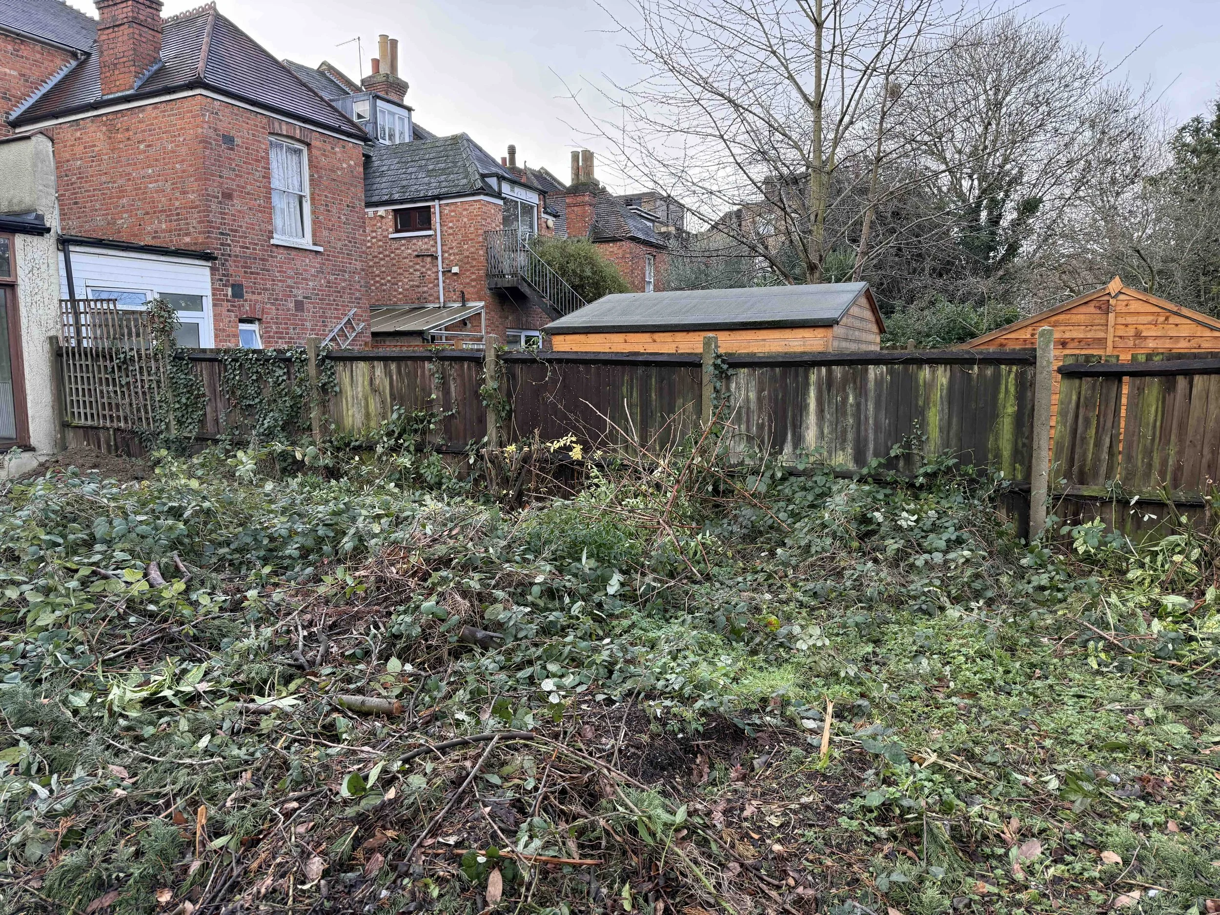 Back garden as it is now