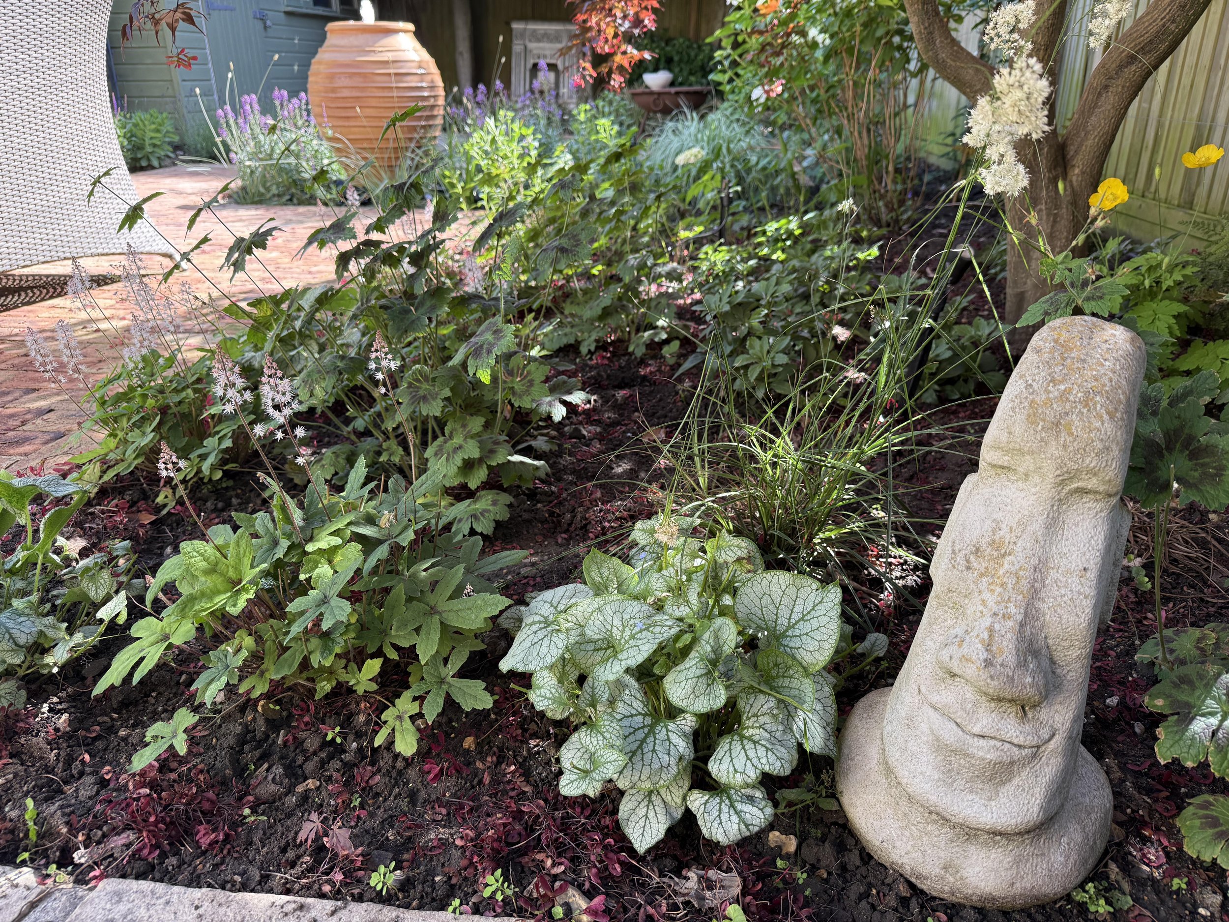Shady planting