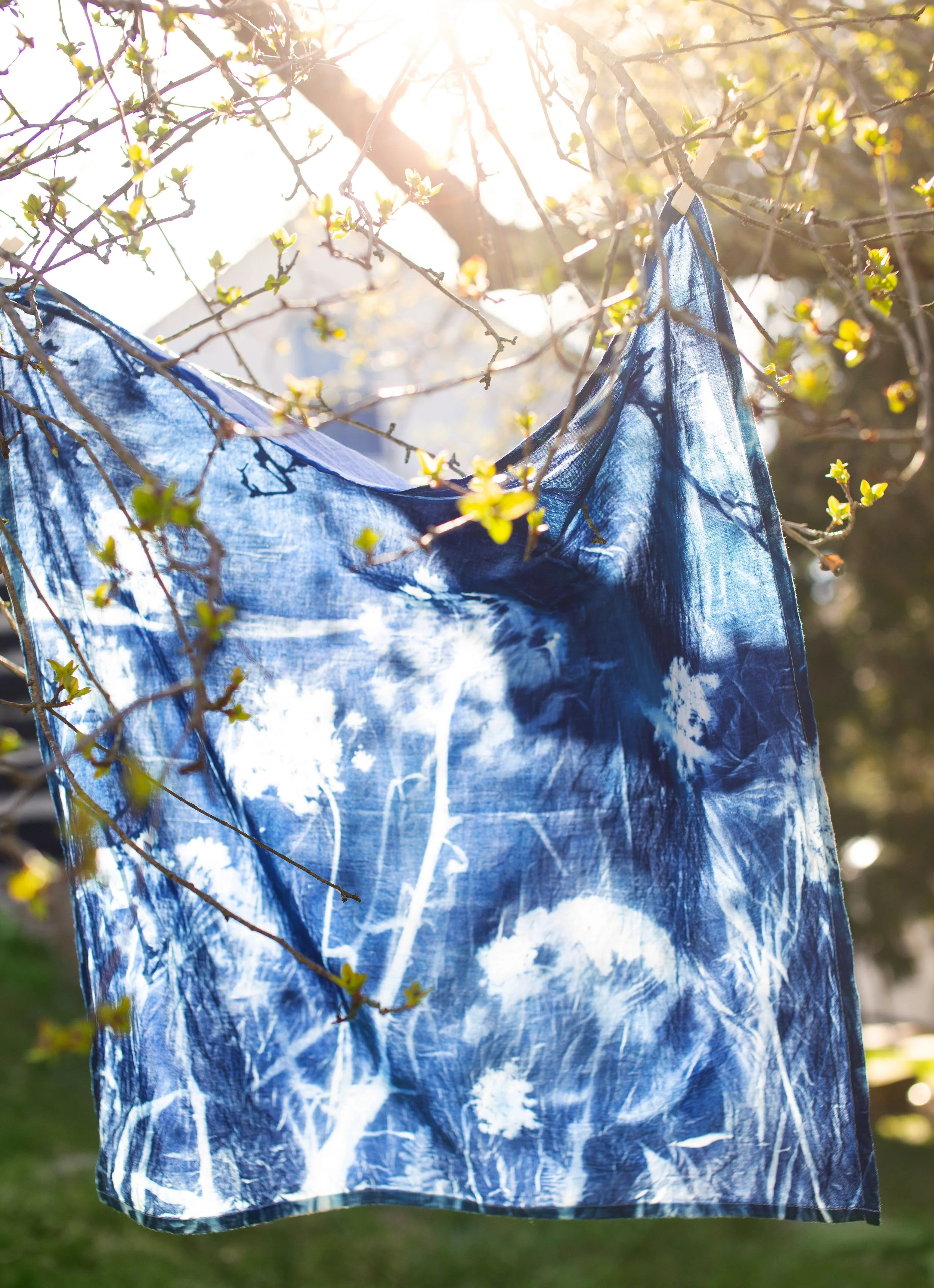 © Isa Salazar for Terrain