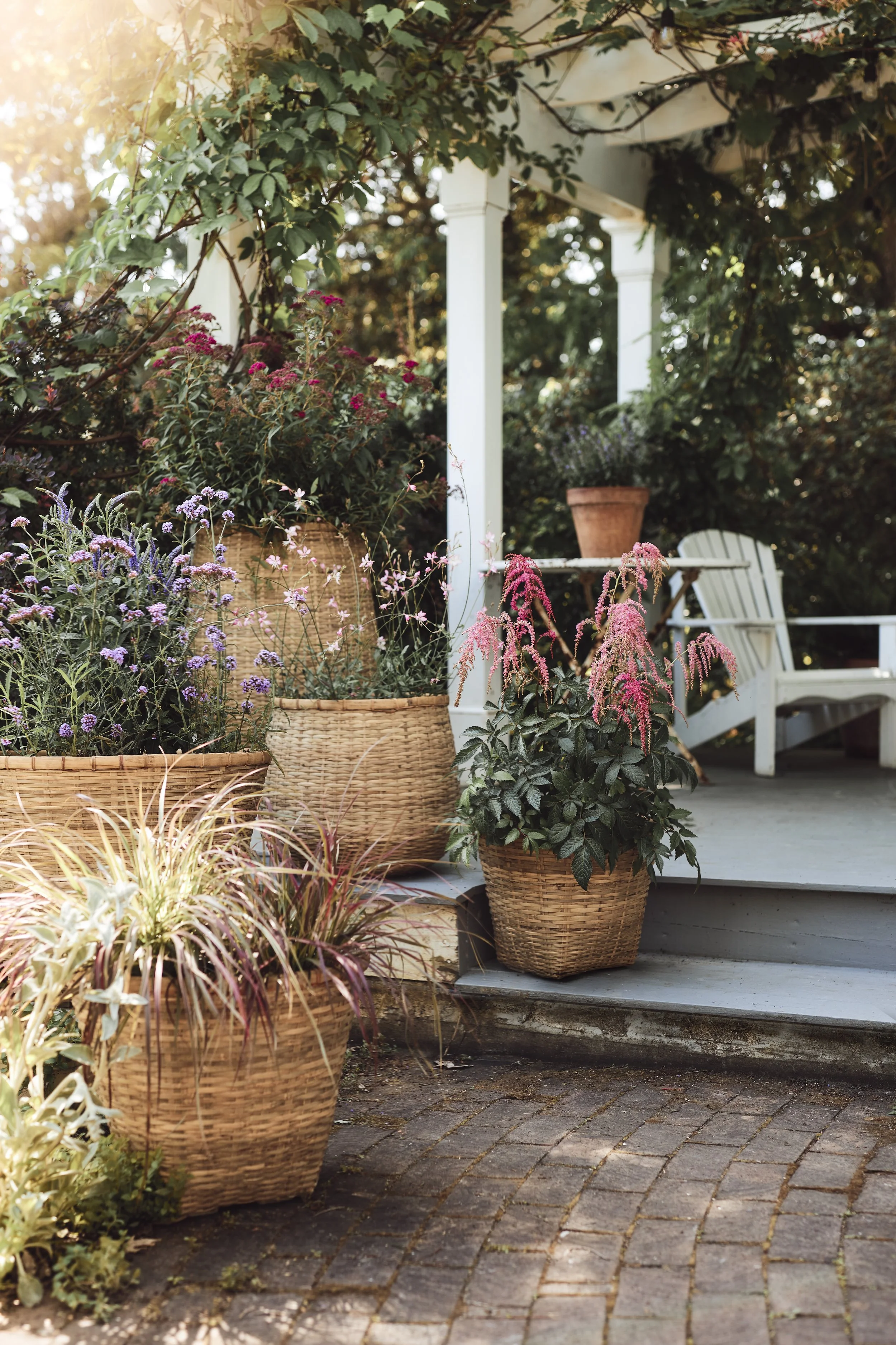 © Amy Batog for Terrain