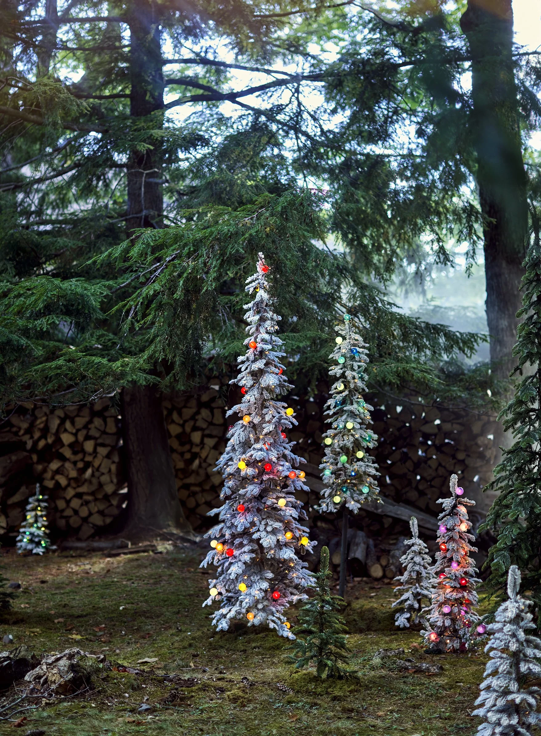 @Debi Treloar for Terrain