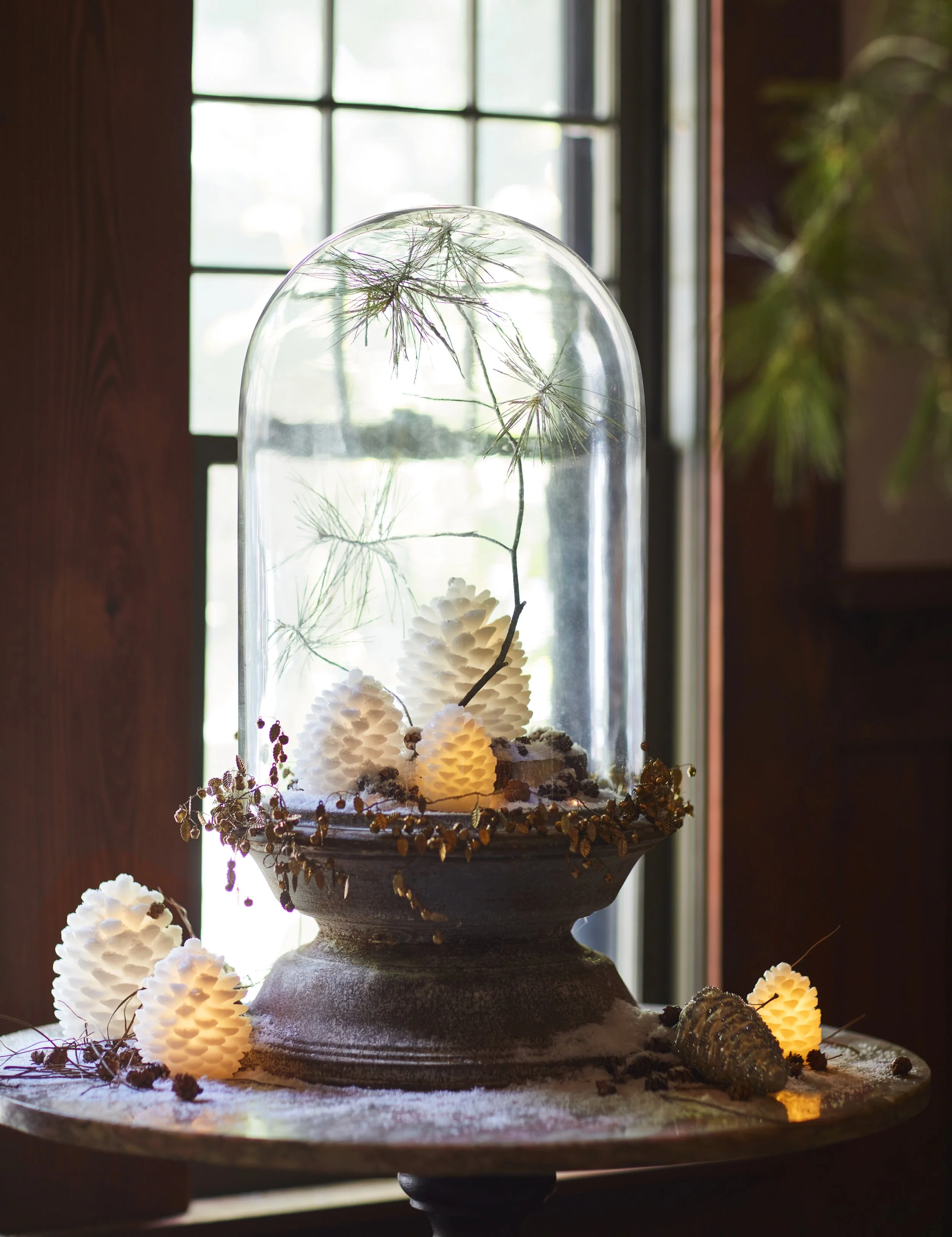 @Debi Treloar for Terrain