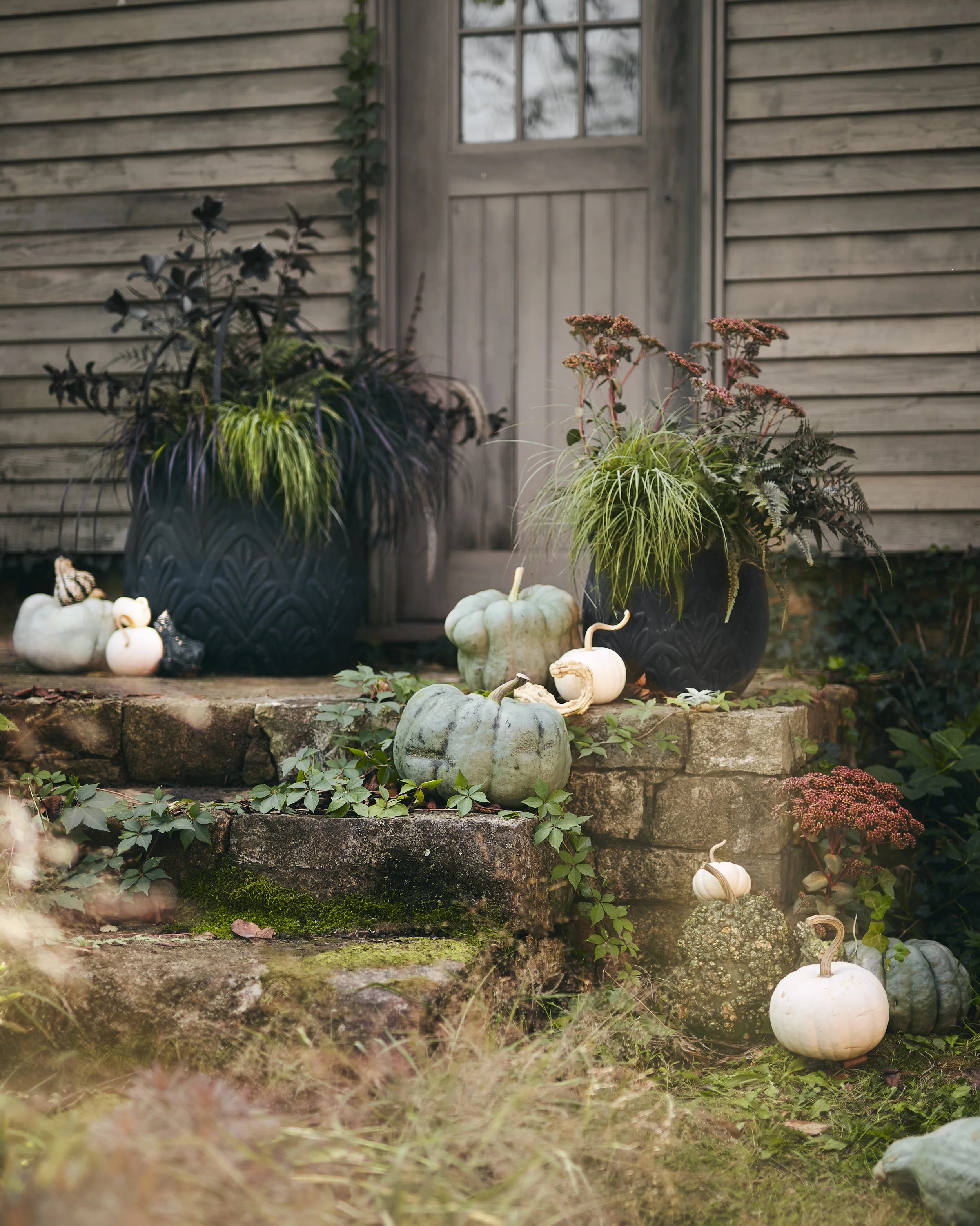 @Amy Batog for Terrain