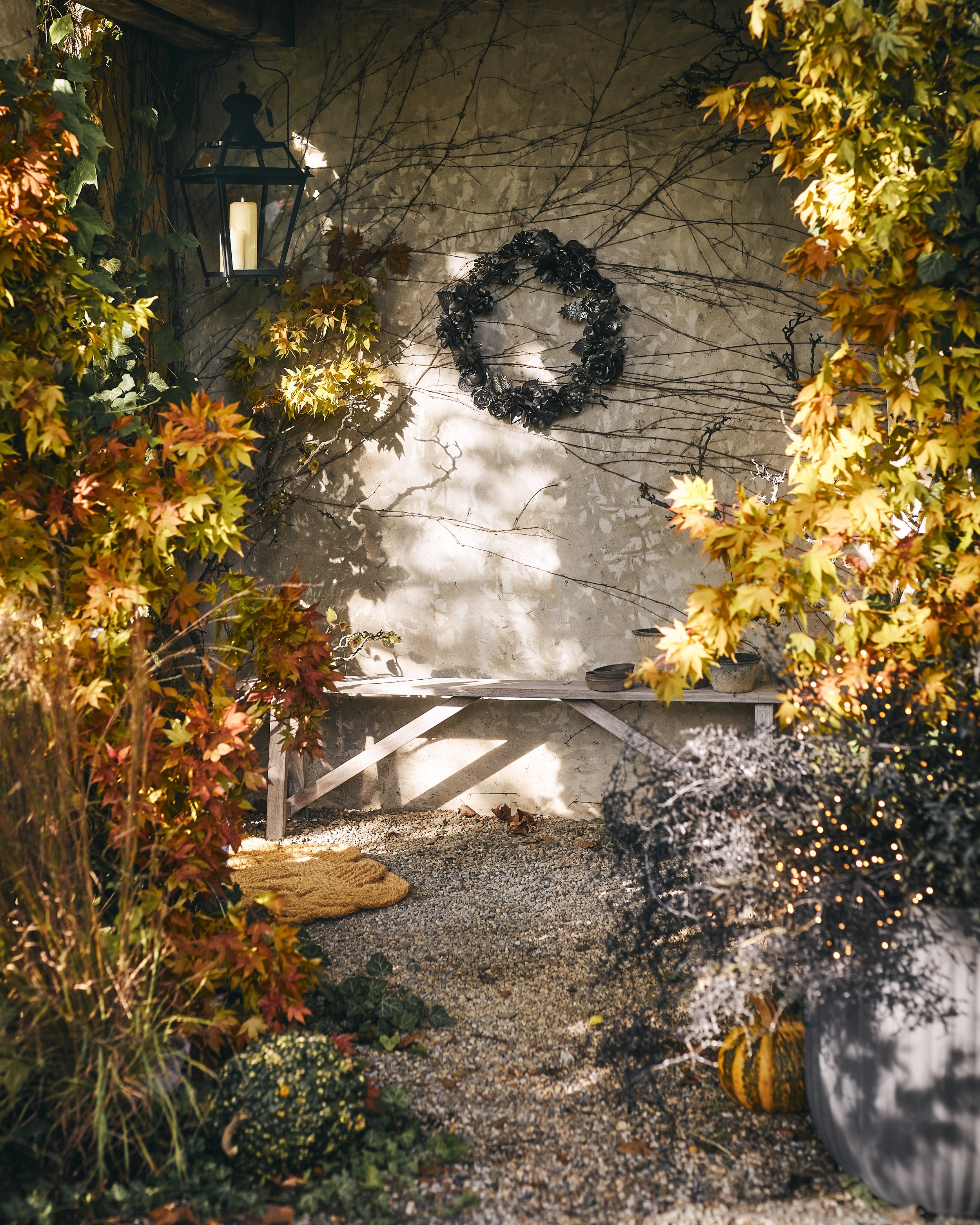 092122_005_179_main DP Select 4x5.jpg