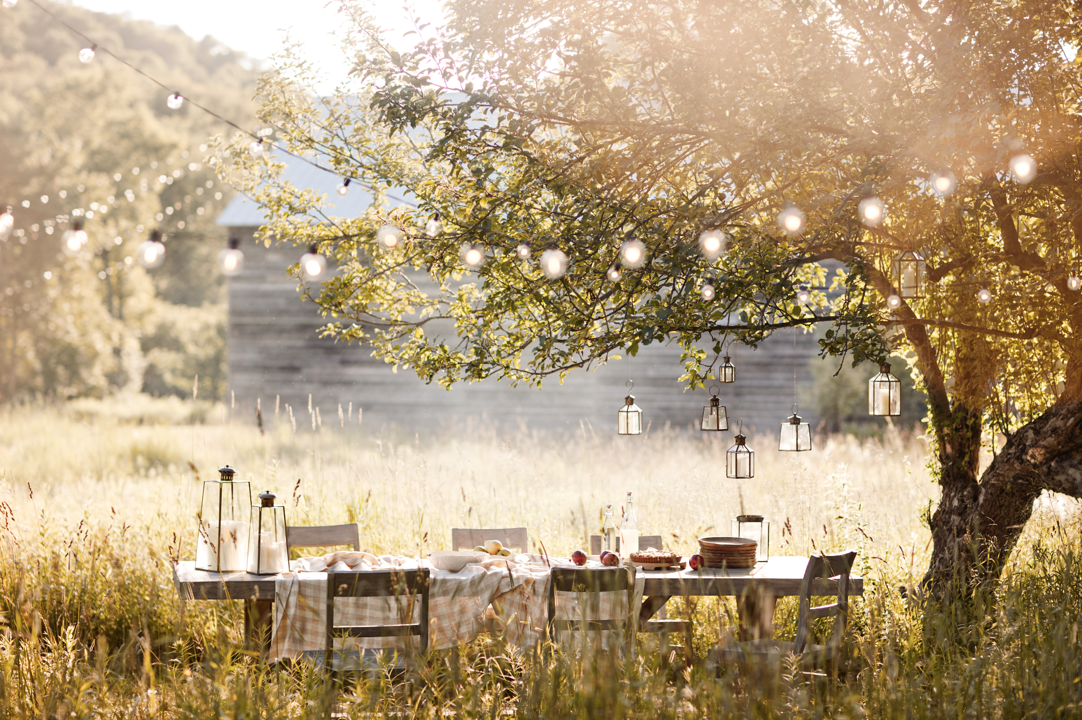 © Debi Treloar for Terrain