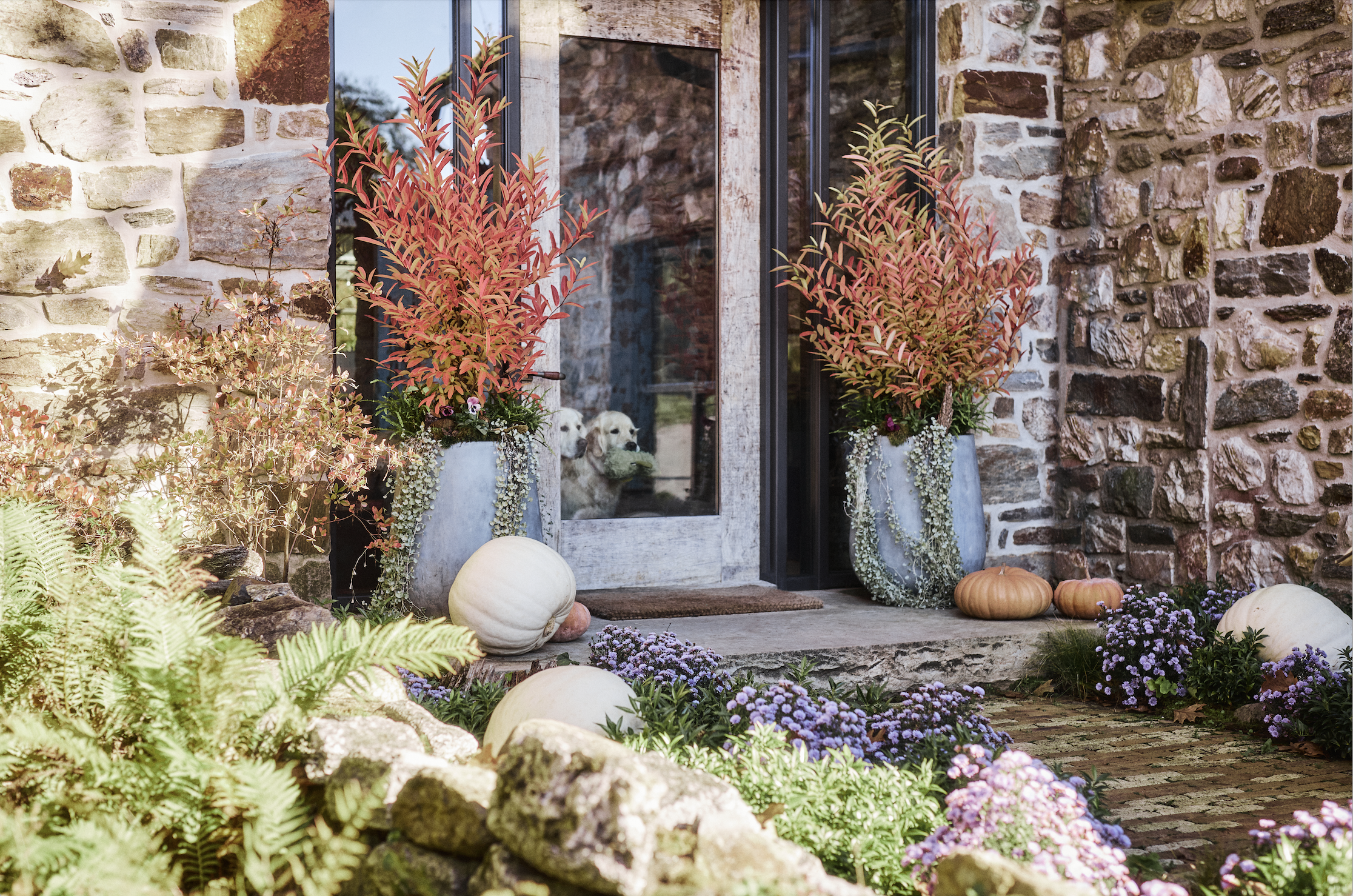 © Amy Batog for Terrain