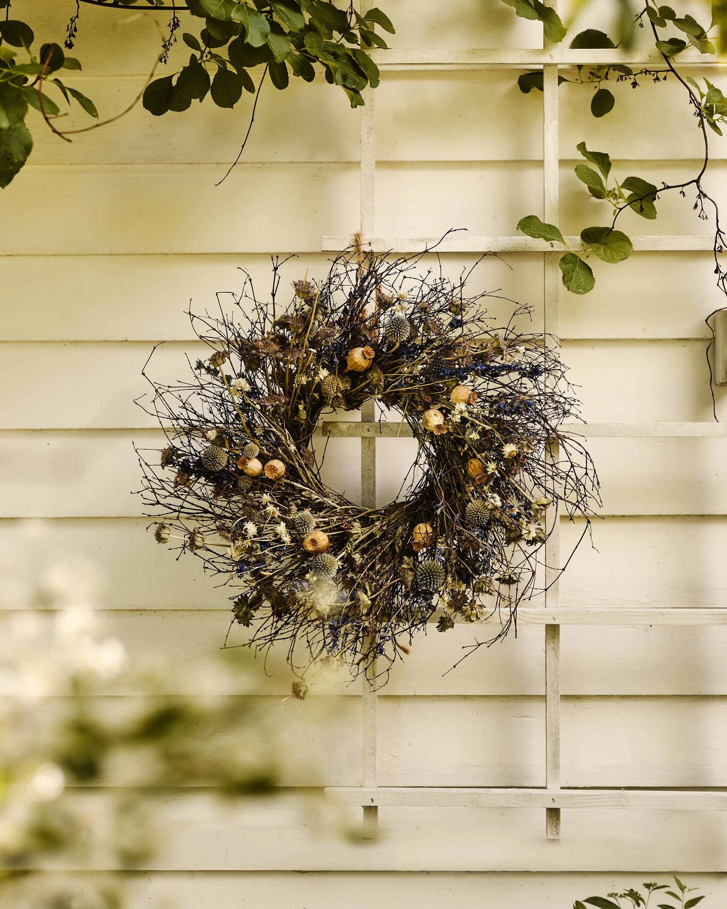 © Amy Batog for Terrain