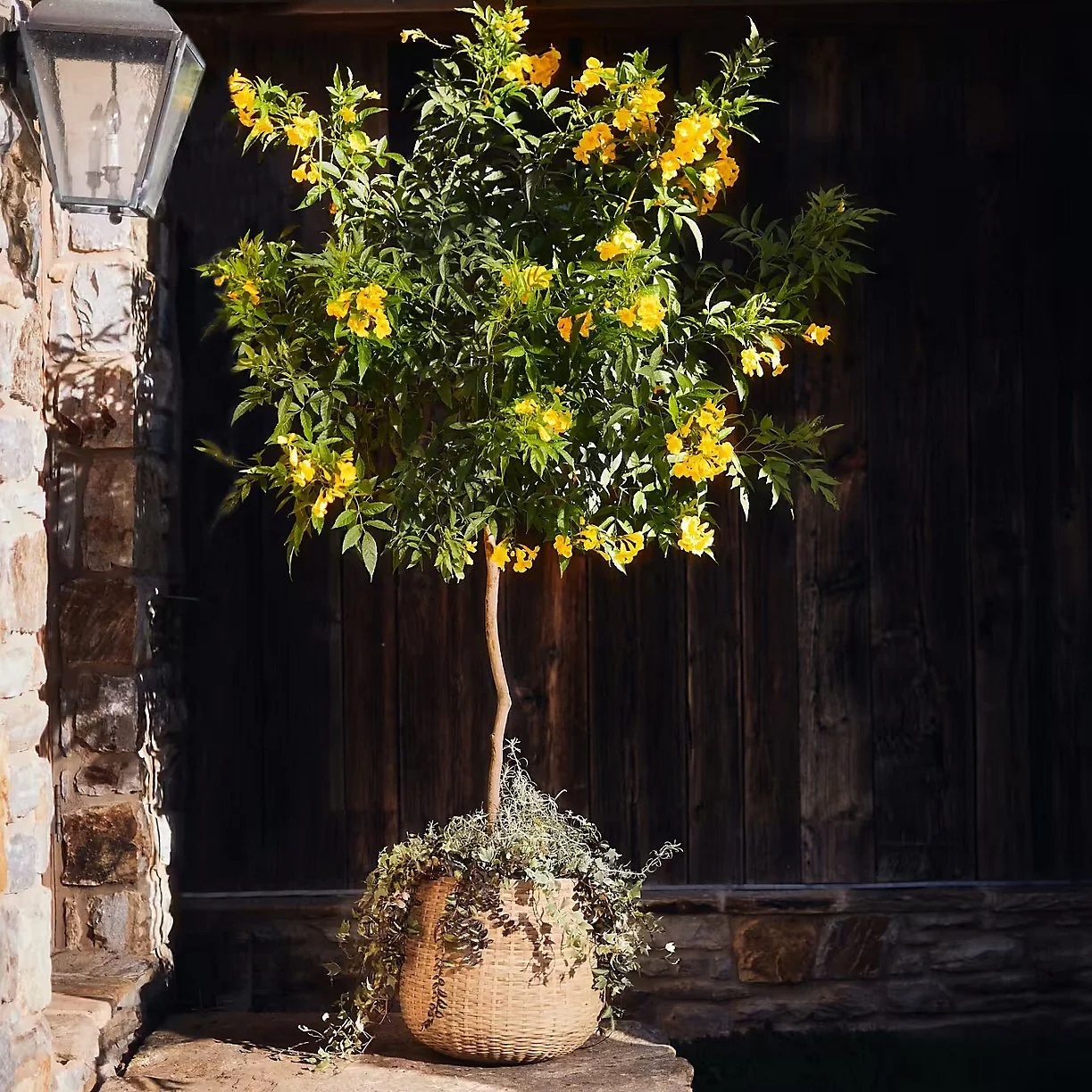 © Amy Batog for Terrain