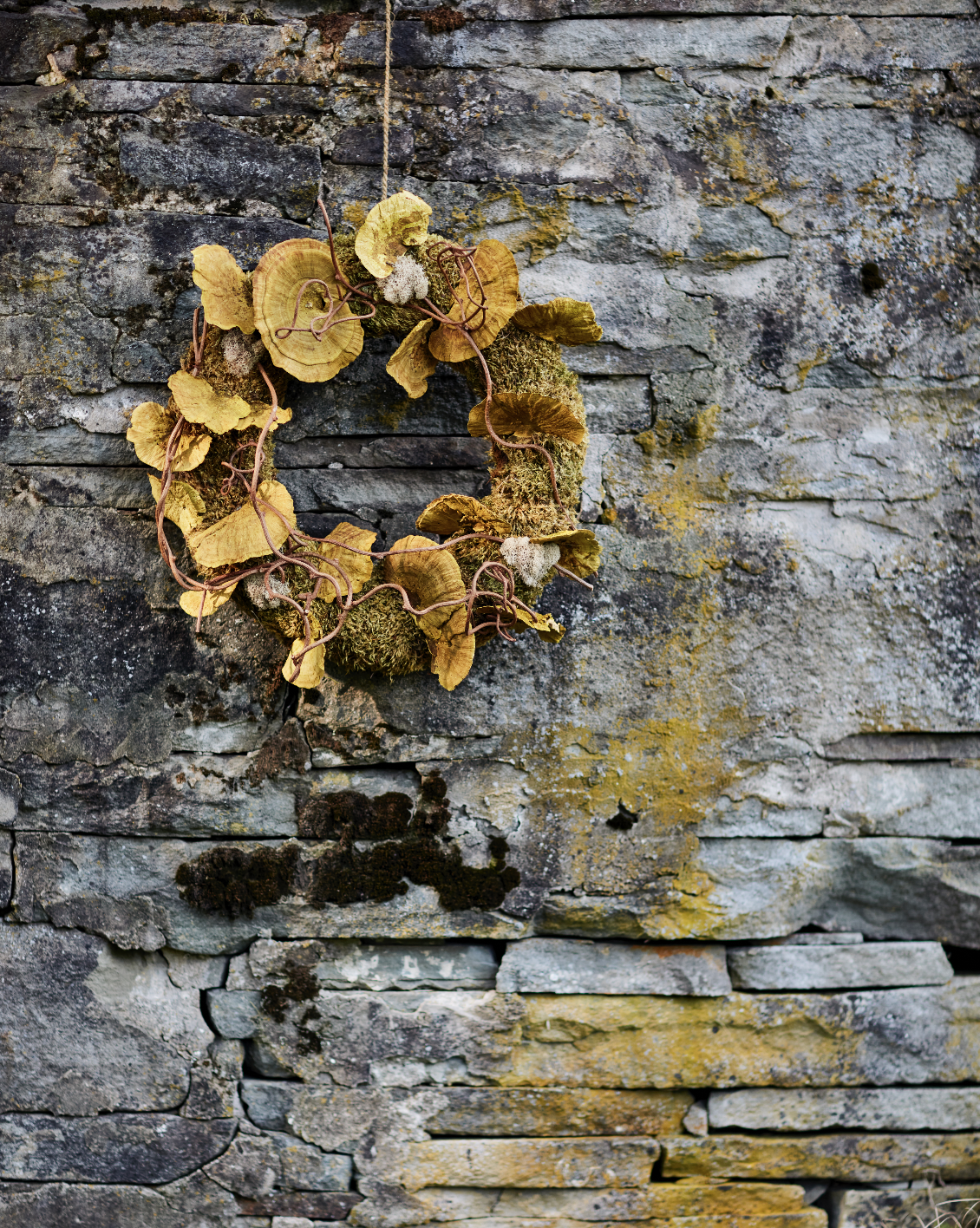 © Debi Treloar for Terrain
