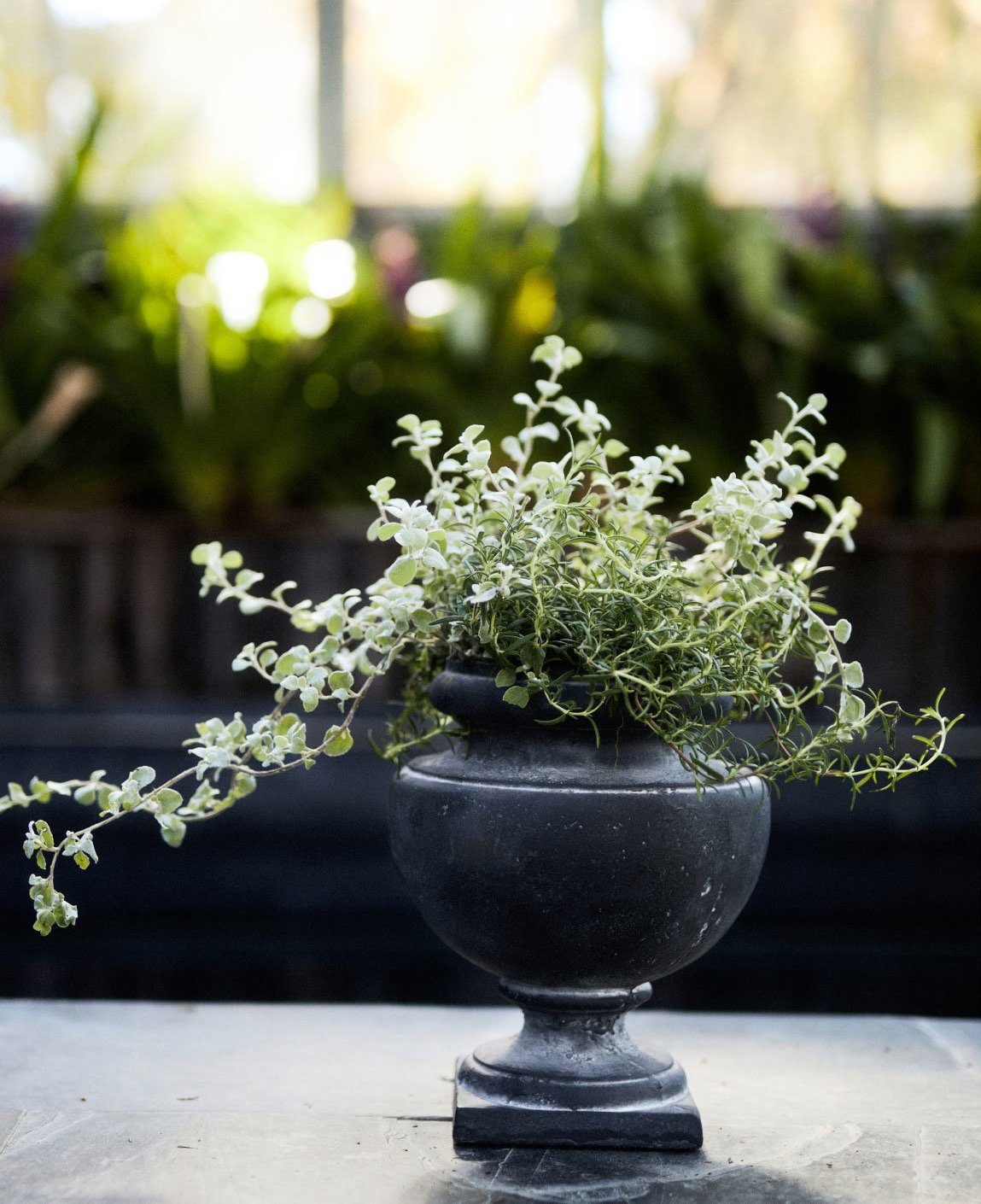 © Amy Batog for Terrain