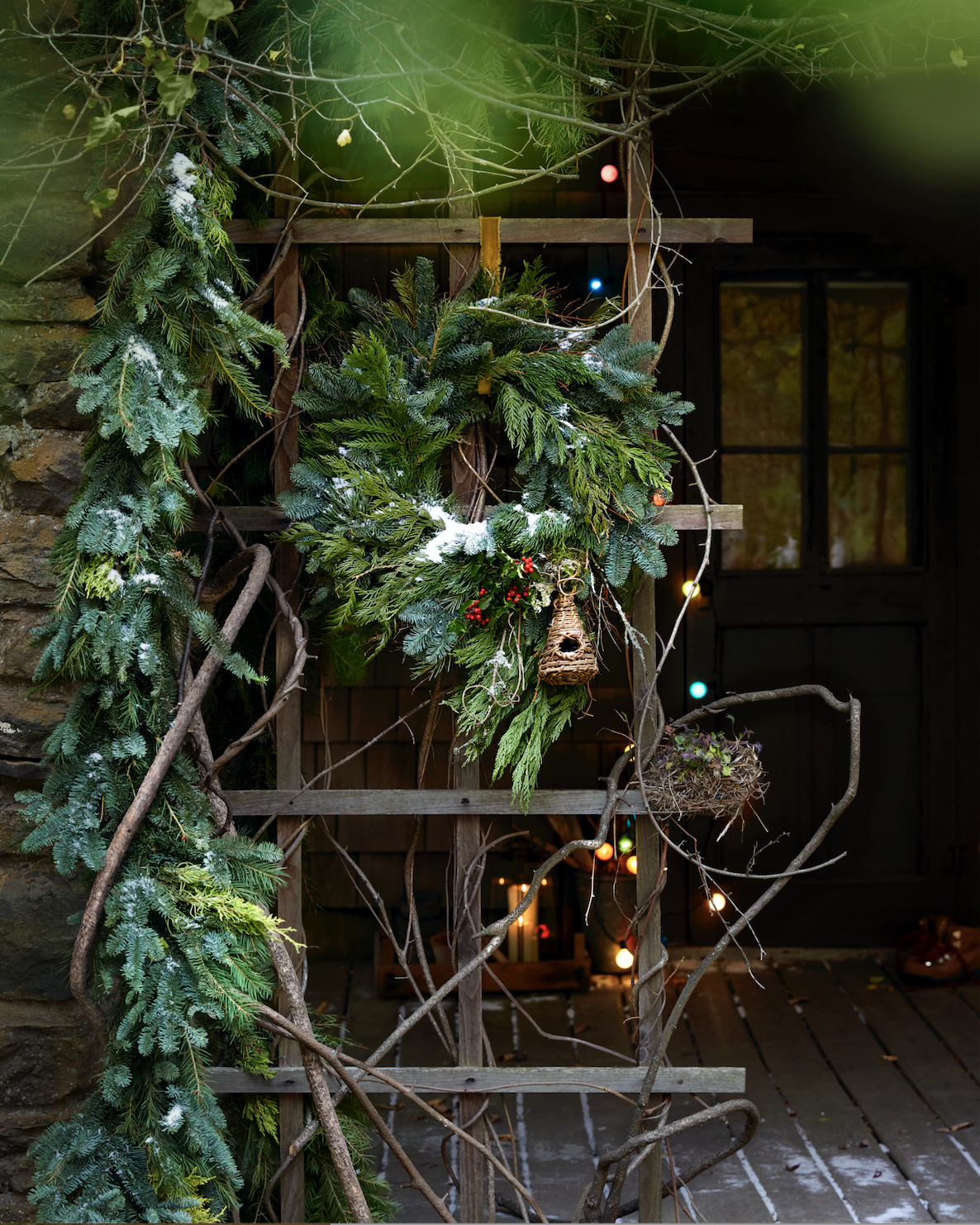 @ Dane Tashima for Terrain