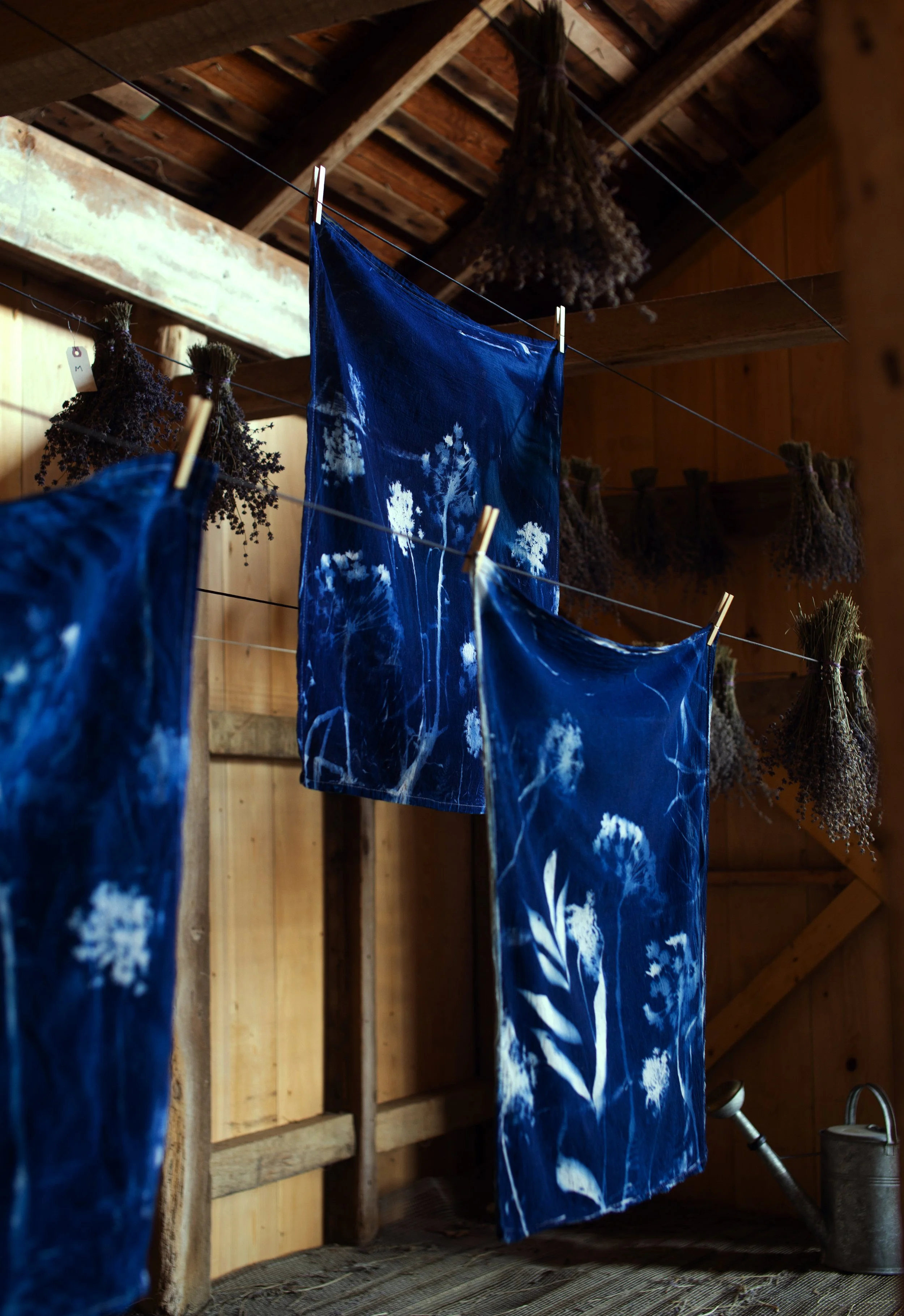 © Isa Salazar for Terrain