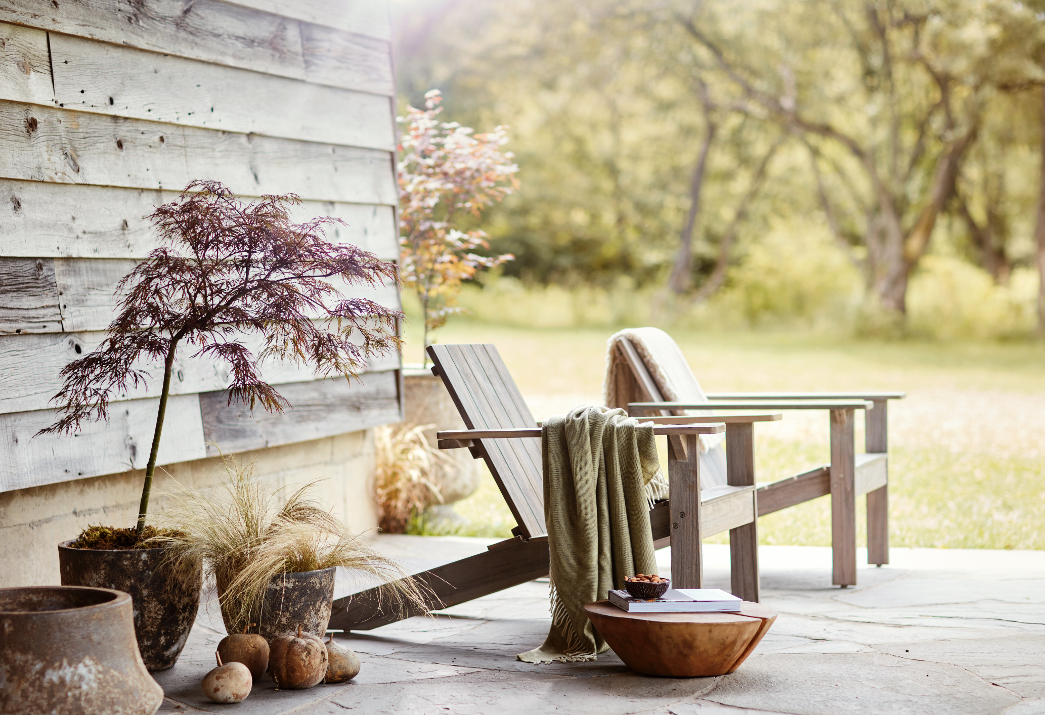 © Debi Treloar for Terrain