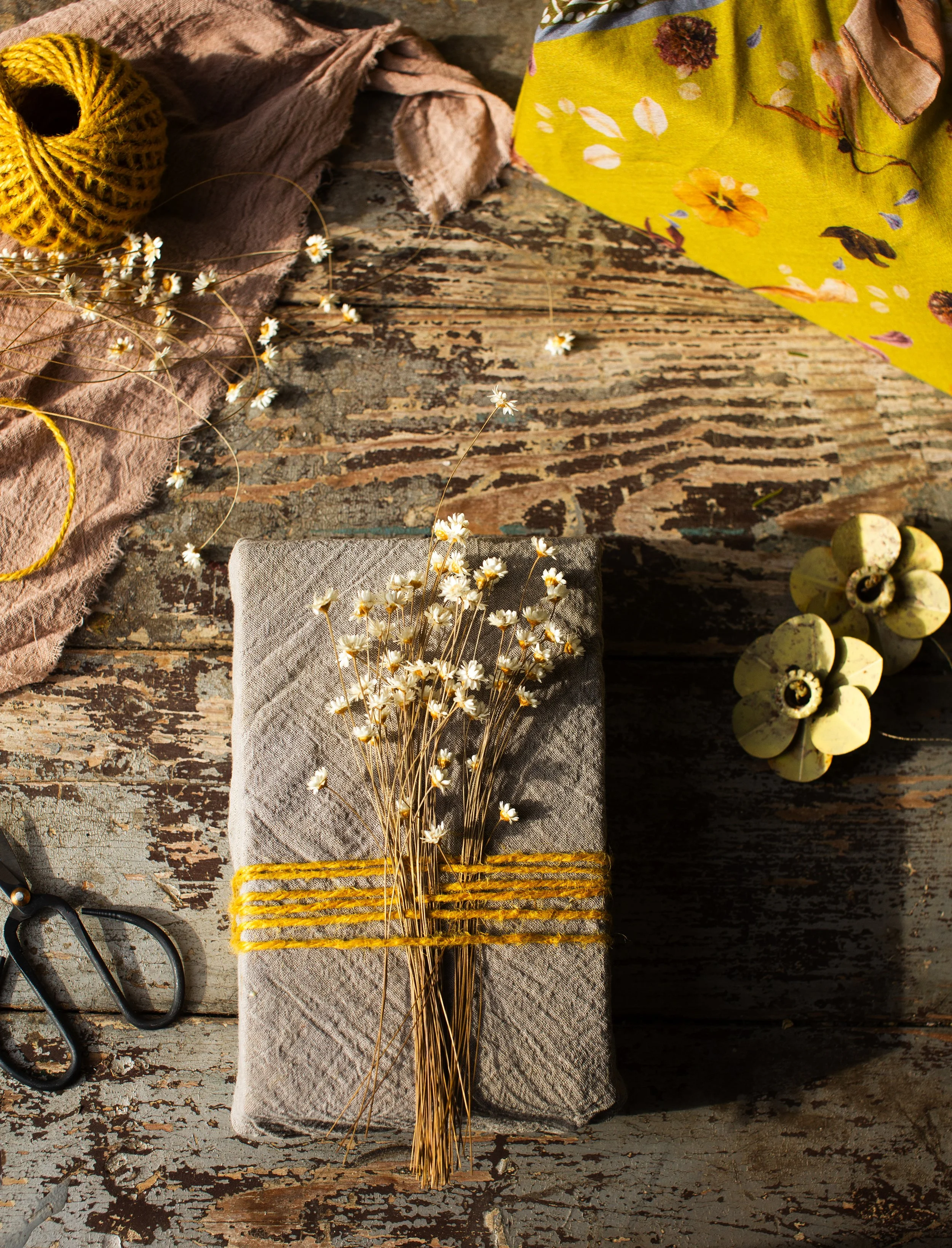 © Isa Salazar for Terrain