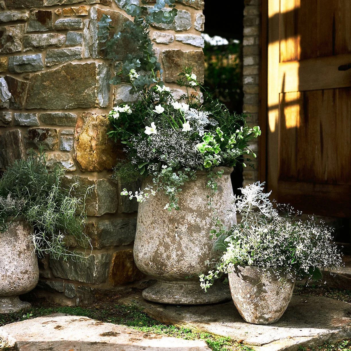 © Amy Batog for Terrain