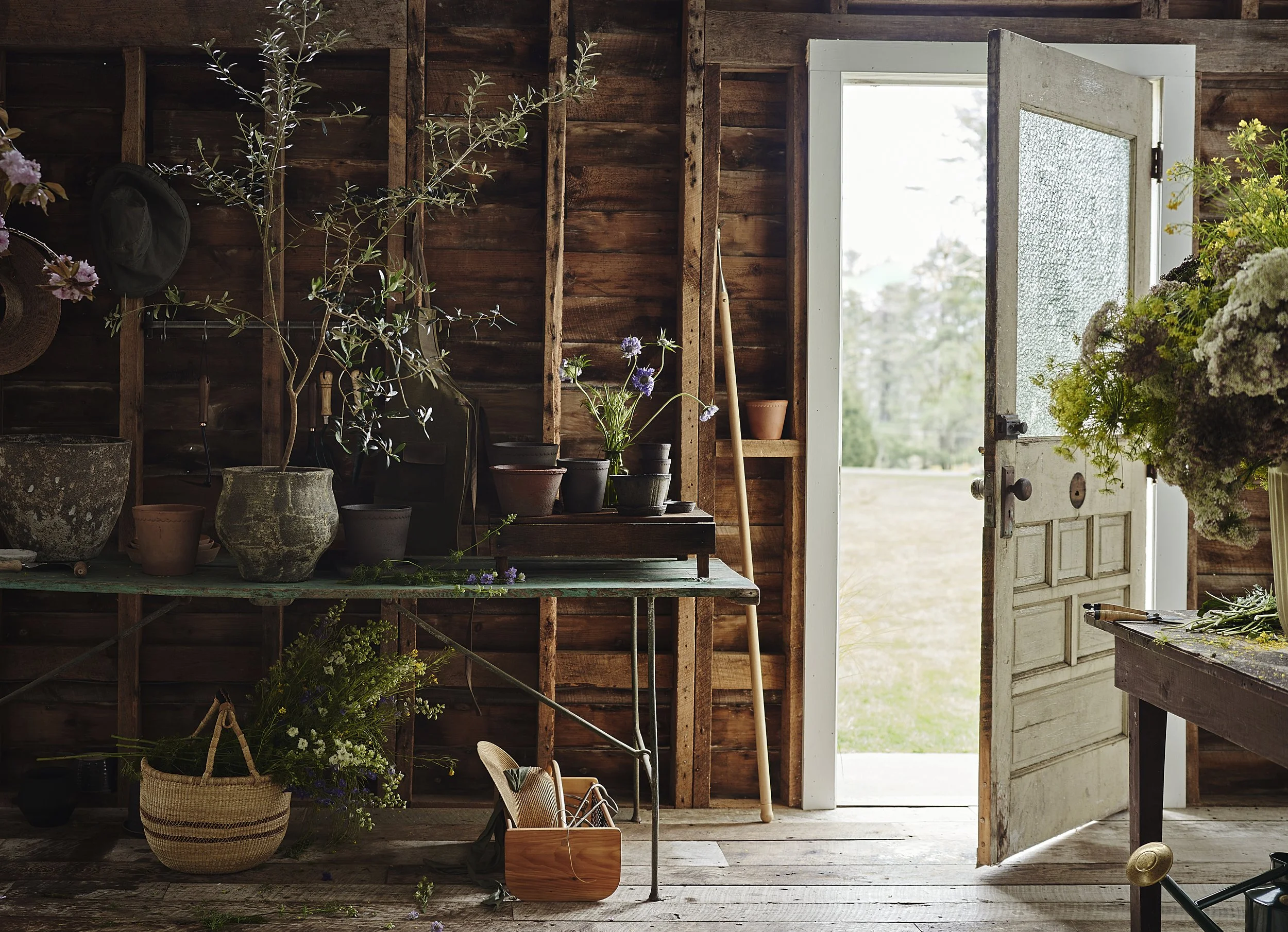 © Adrian Gaut for Terrain