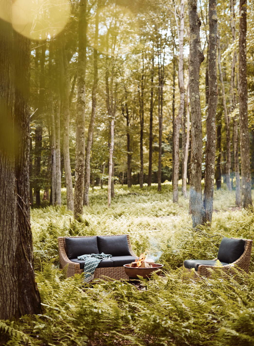 © Debi Treloar for Terrain