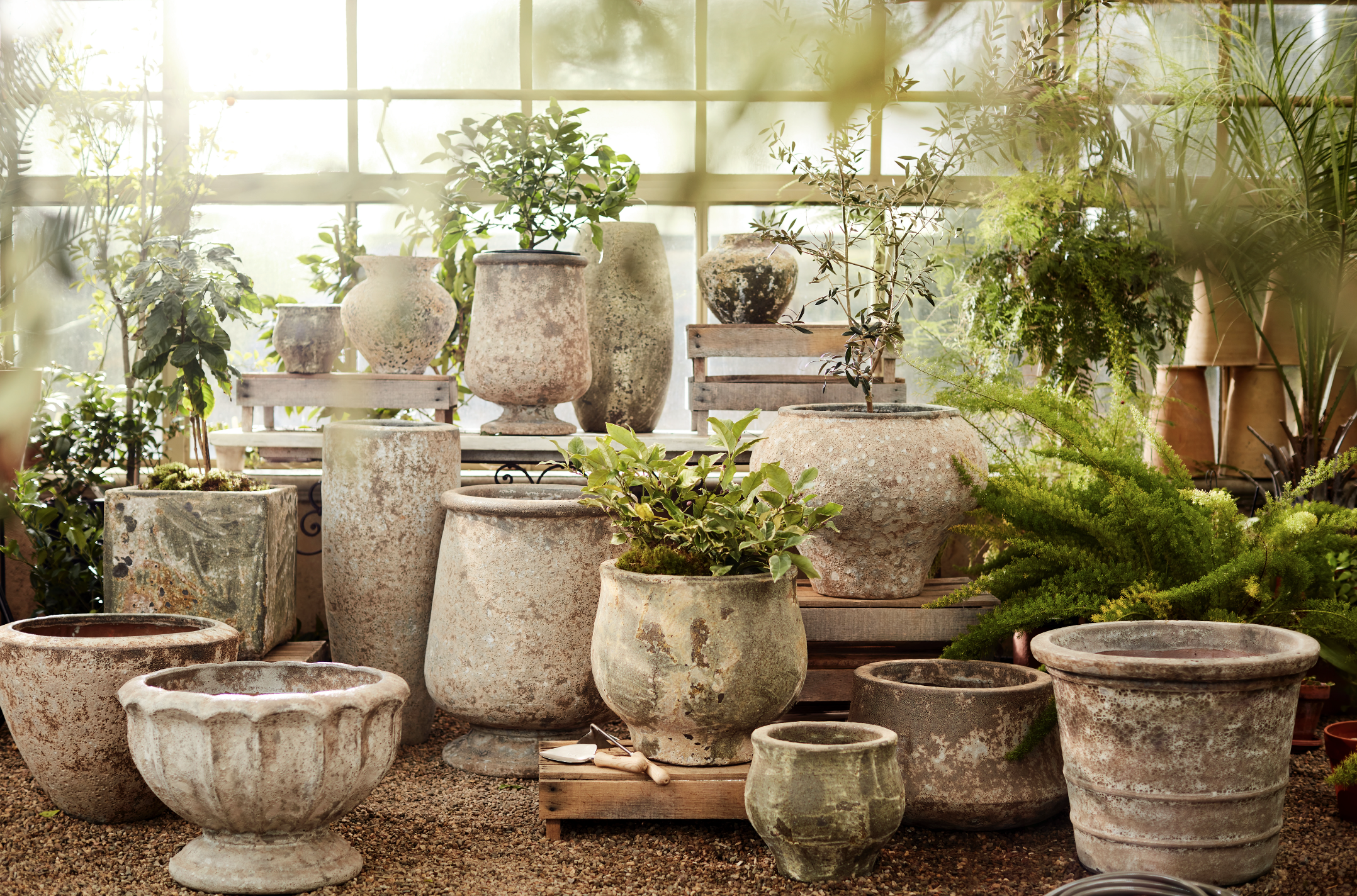 © Debi Treloar for Terrain