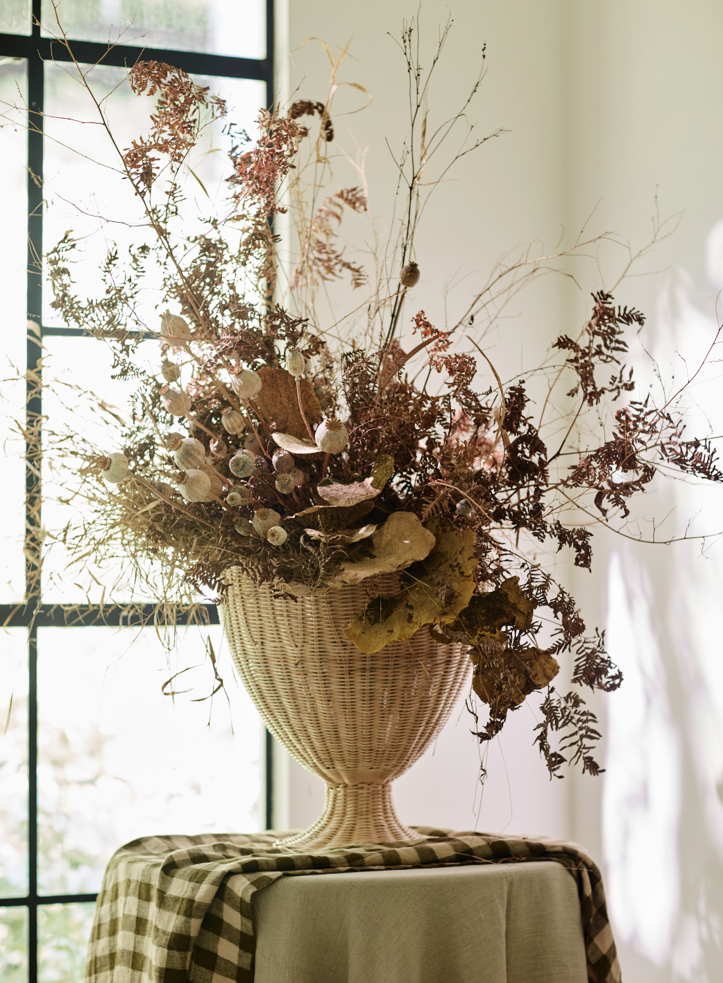 © Debi Treloar for Terrain