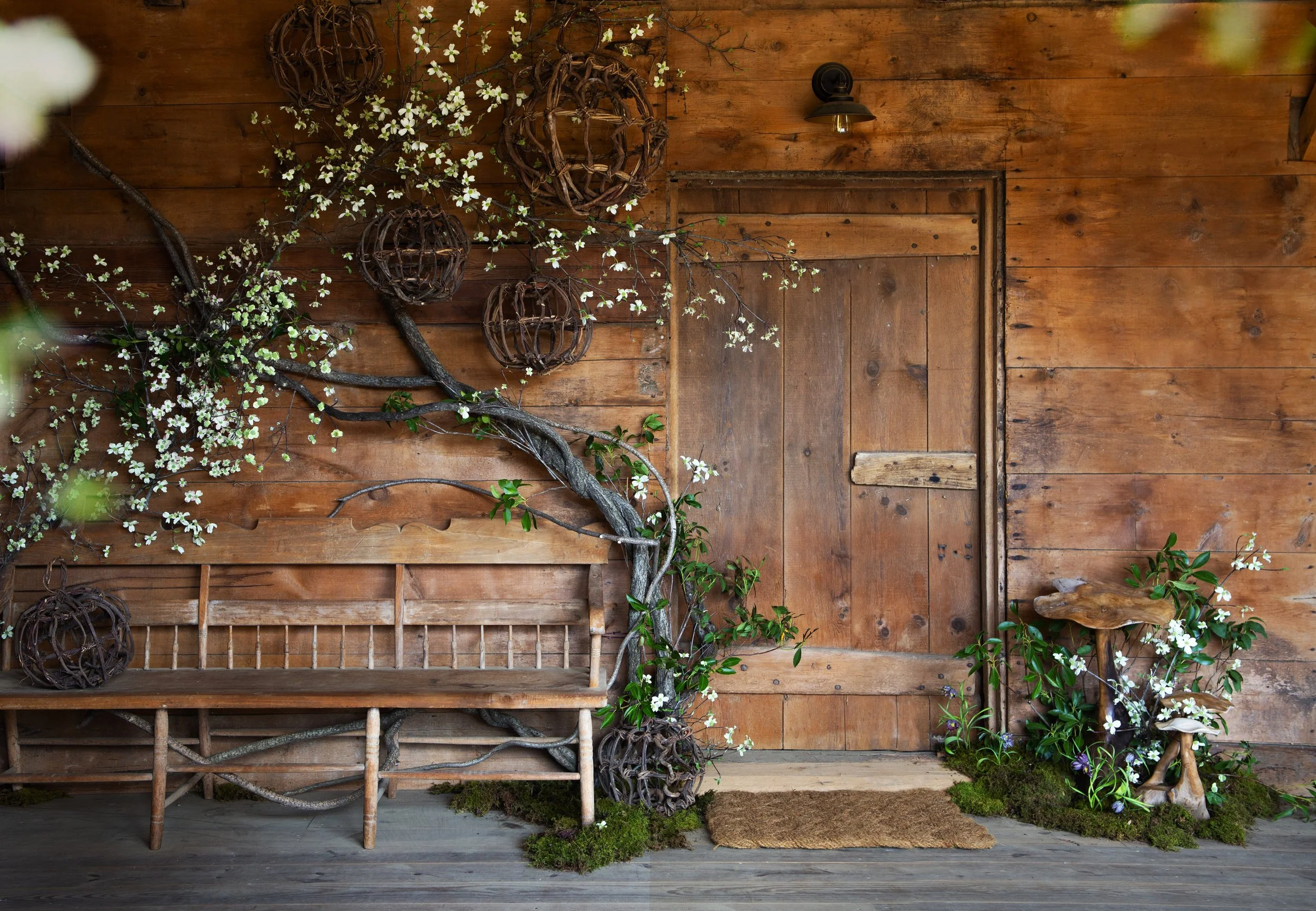 © Isa Salazar for Terrain