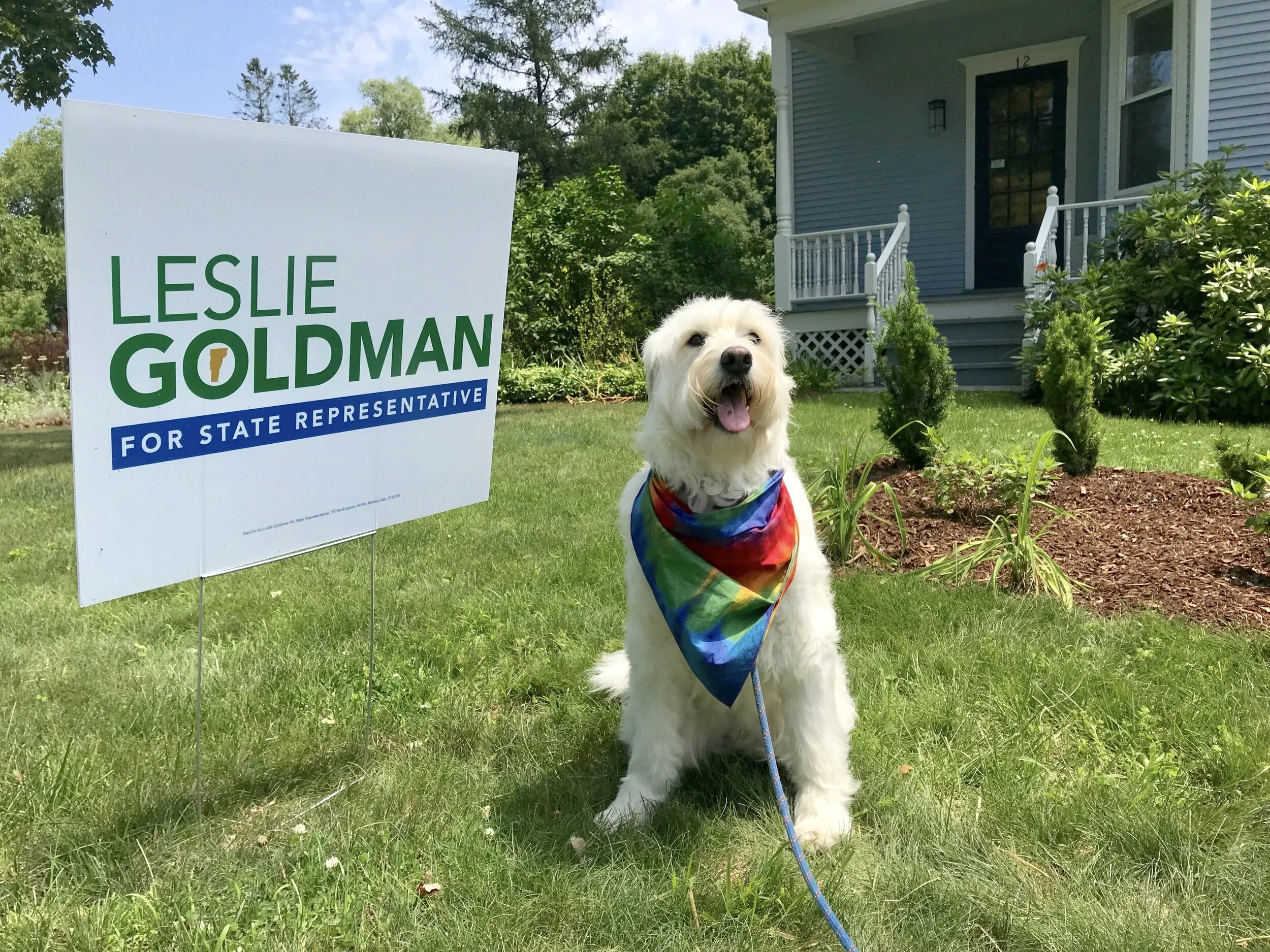 leslie-goldman-vermont-state-representative-bobolink-communications