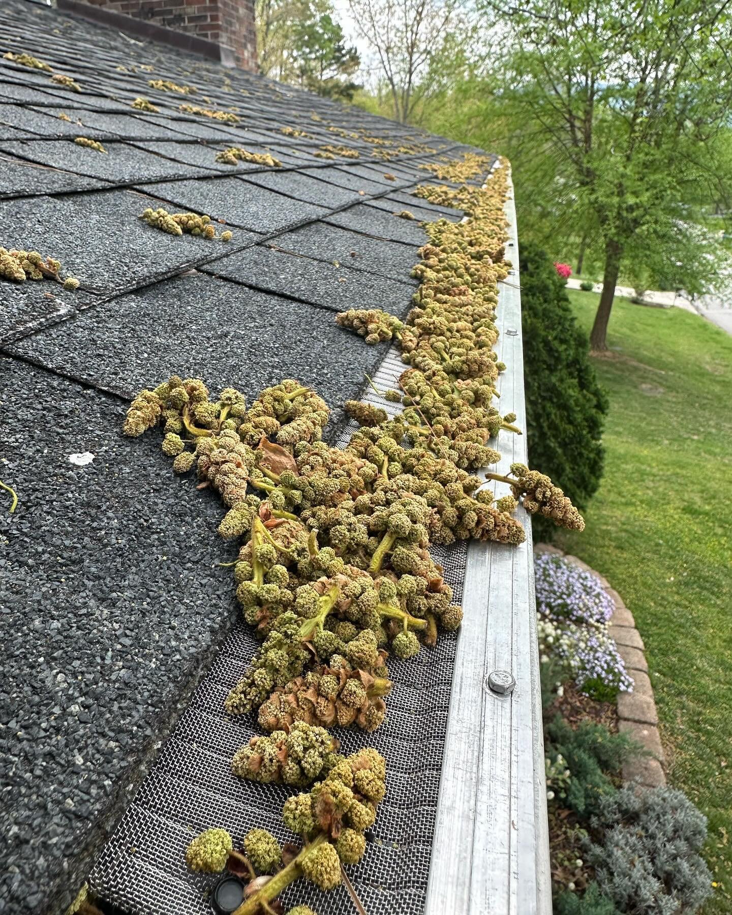 Chubby flowers falling at random on your house for the next three months? We&rsquo;re here for it. LFG&Ouml; Spring GutterClean Season