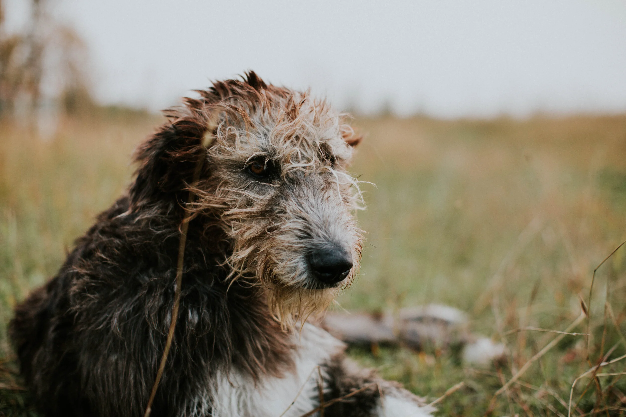 “Socialization”: You’re a Tricky B