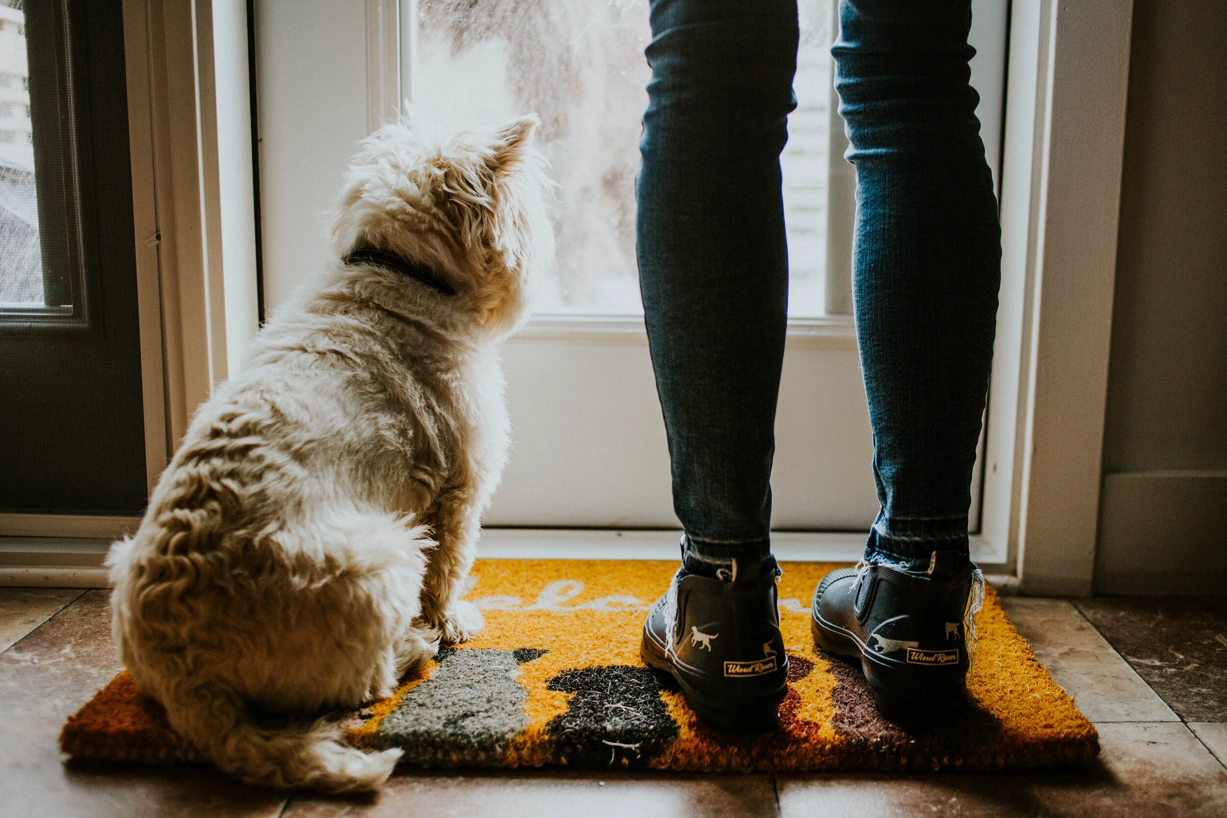 Hey, Potty Training! F-U!