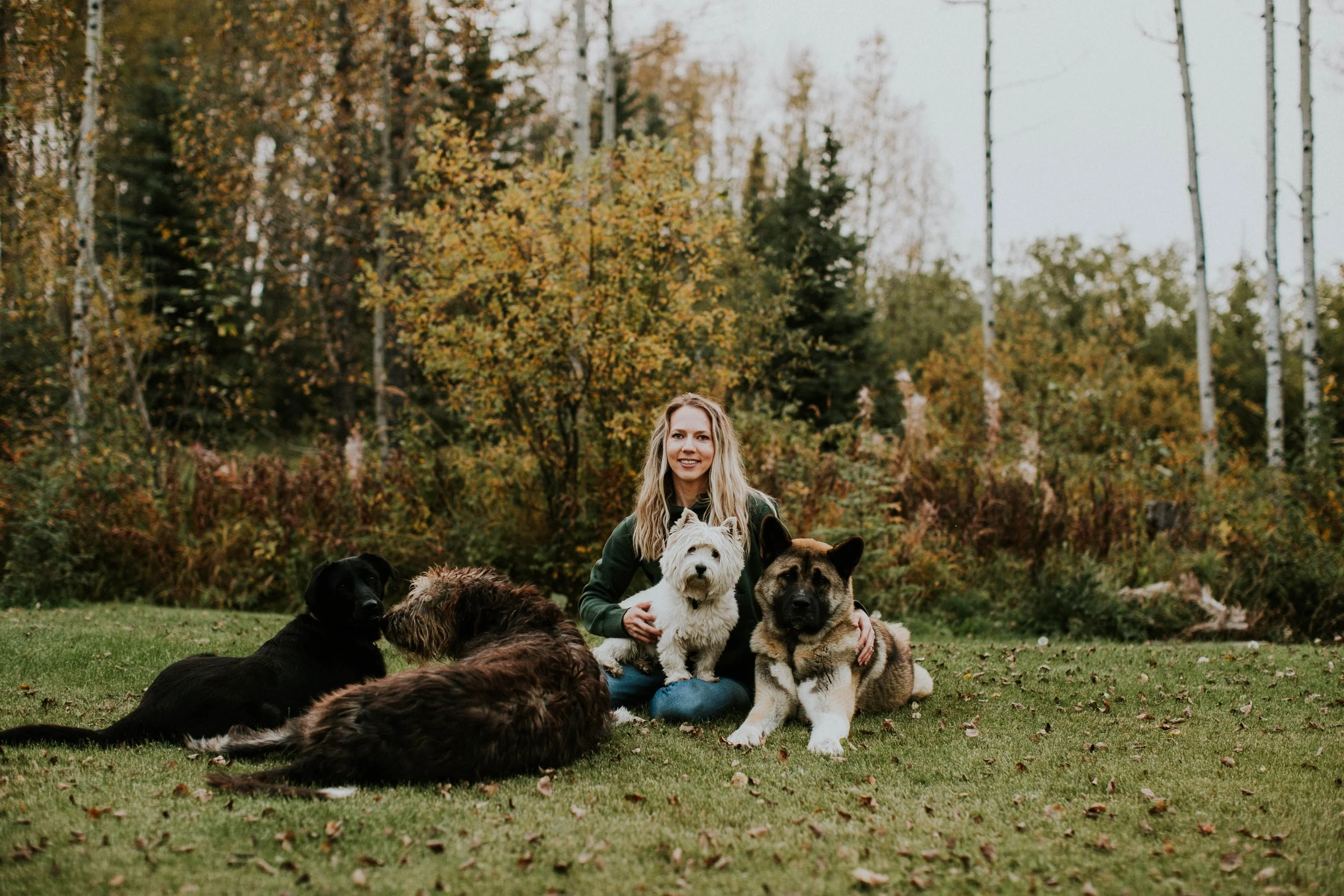 18 Dogs and Counting