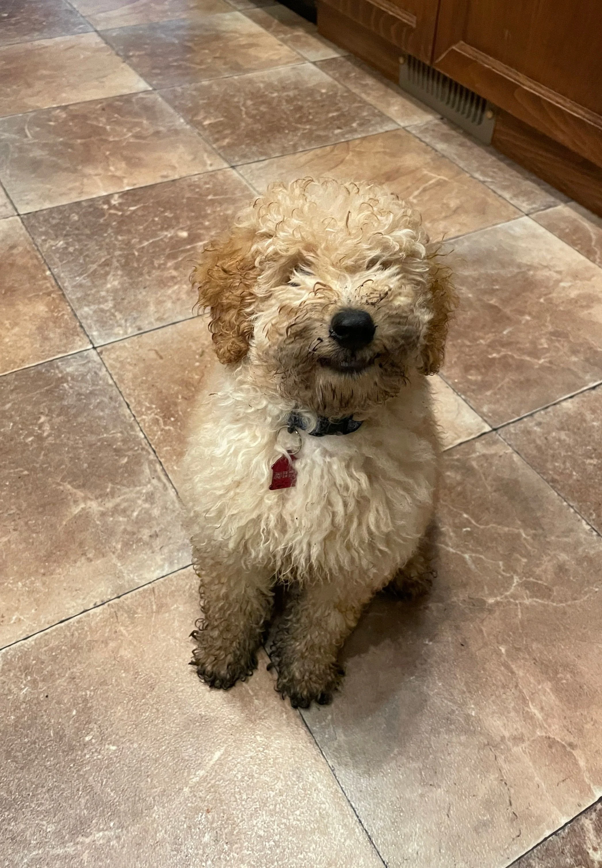 Picky Eaters: The Gig is Up