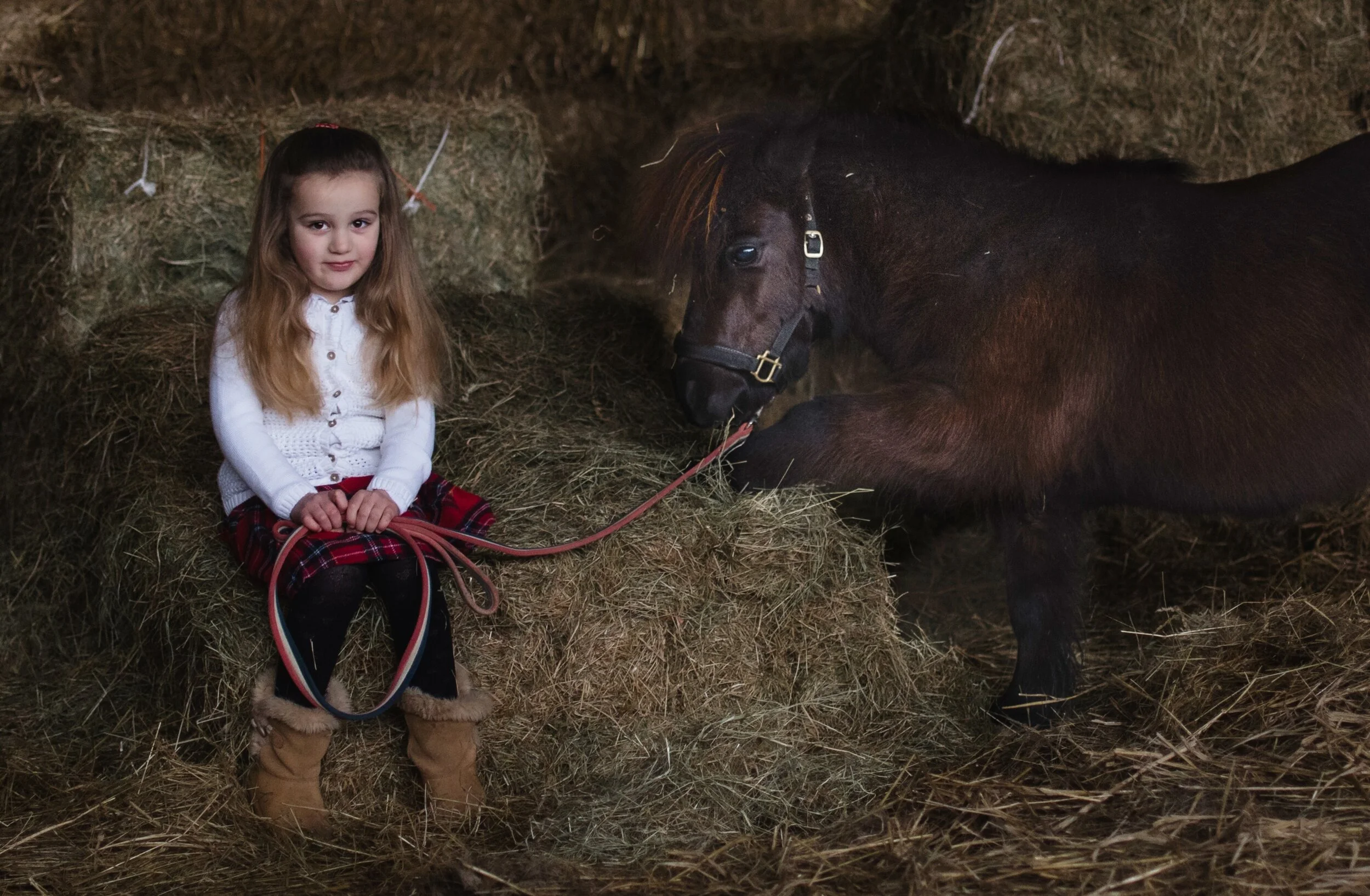 A young girl in a plaid skirt and white sweater sitting on hay bales beside a small dark brown pony.
