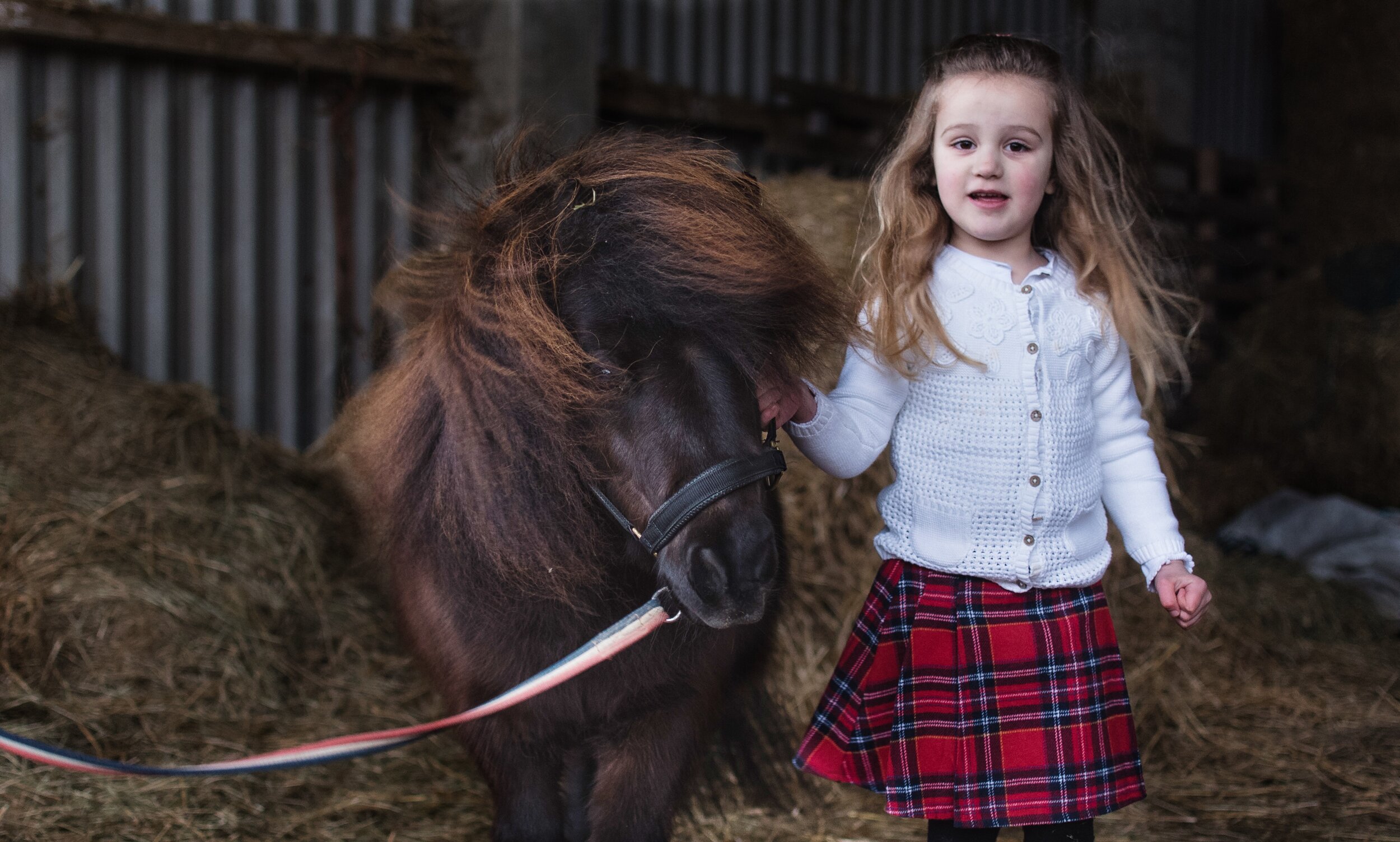 A young girl wearing a white cardigan and red plaid skirt stands next to a small brown pony with a harness in a stable.